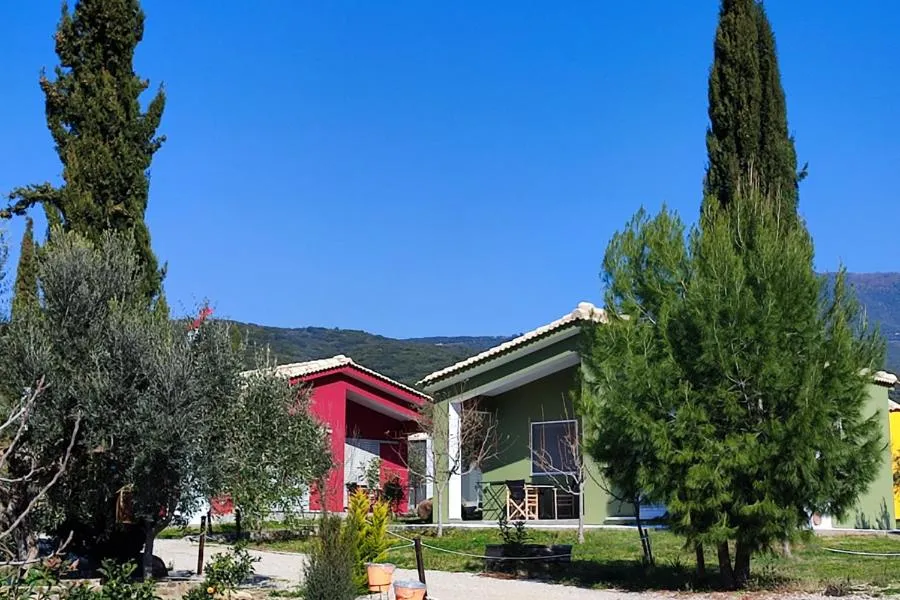 Socrates Organic Village - Wild Olive