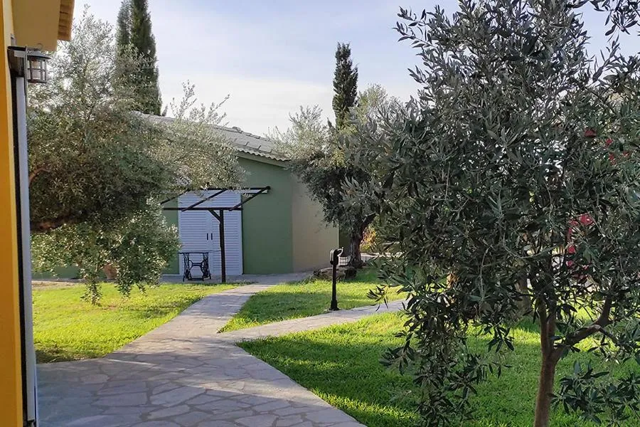 Socrates Organic Village - Wild Olive