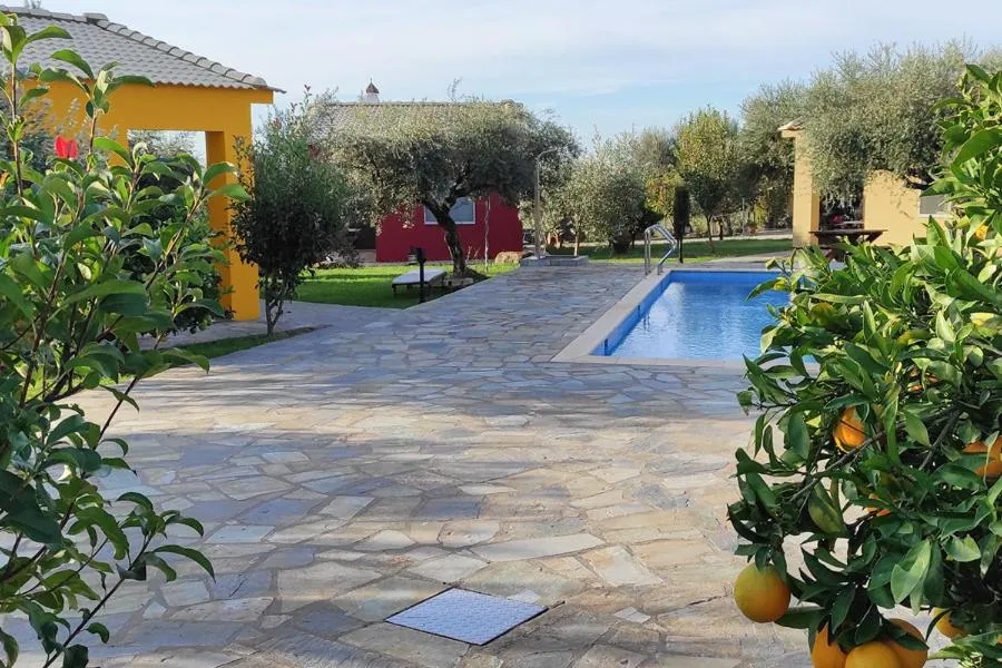 Socrates Organic Village - Wild Olive