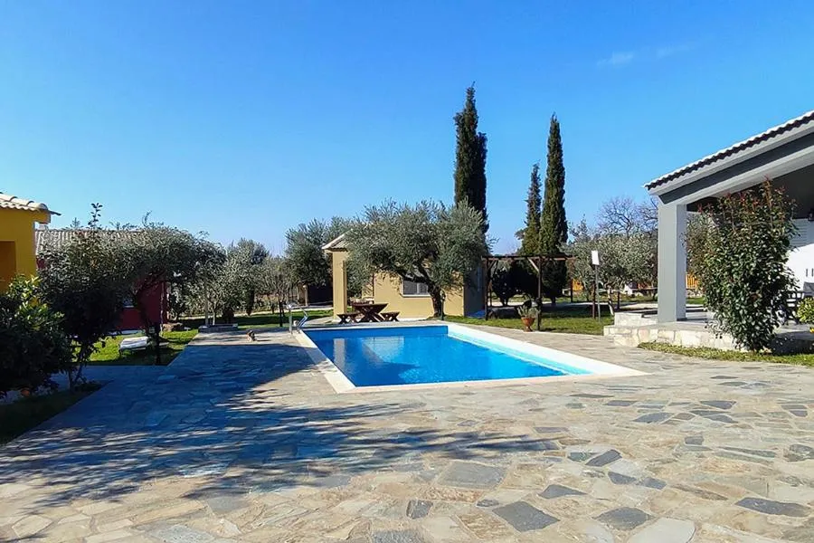 Socrates Organic Village - Wild Olive