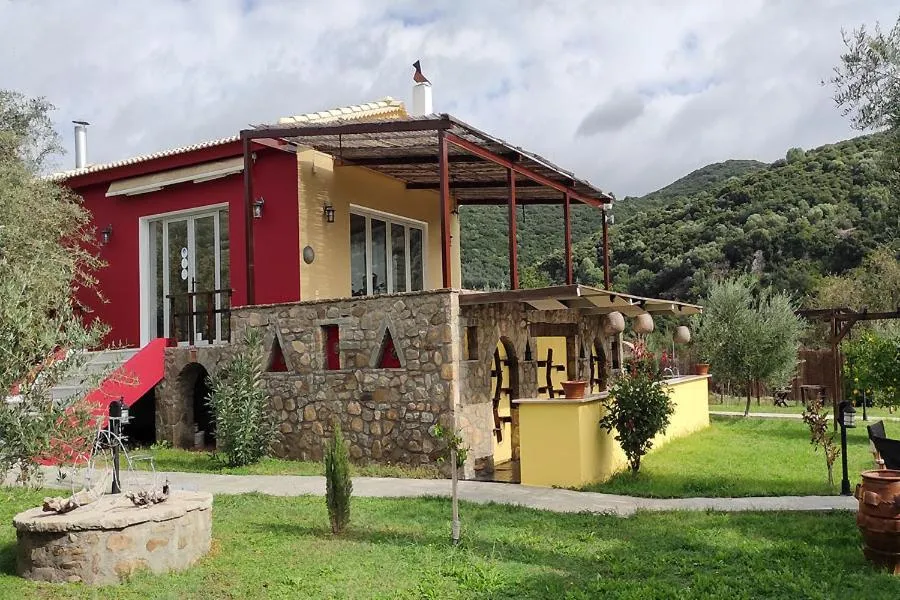 Socrates Organic Village - Wild Olive