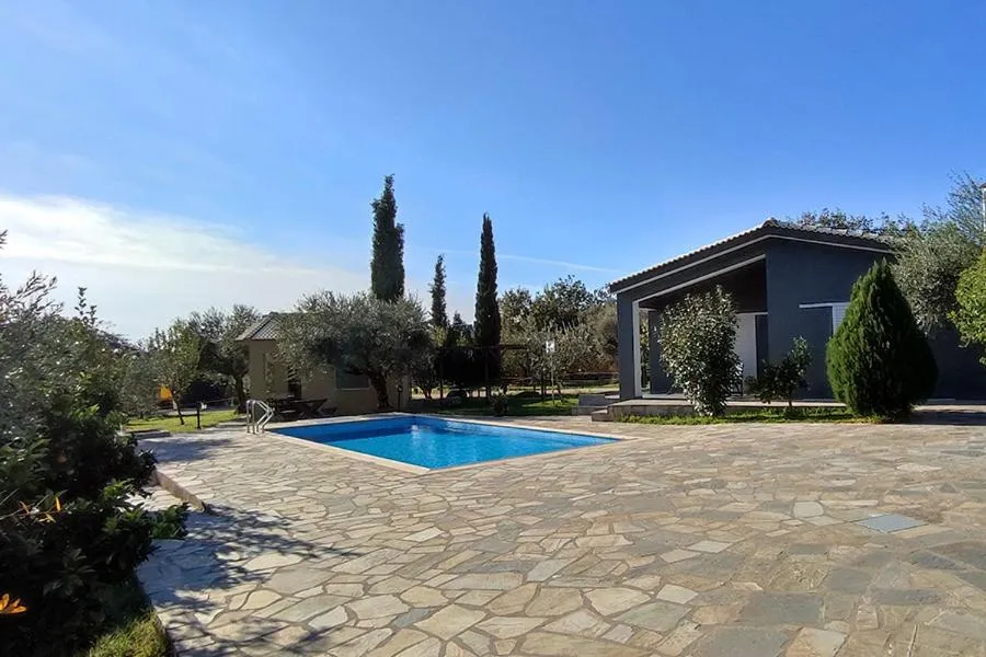 Socrates Organic Village - Wild Olive