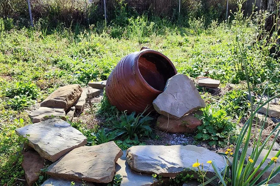 Socrates Organic Village - Wild Olive