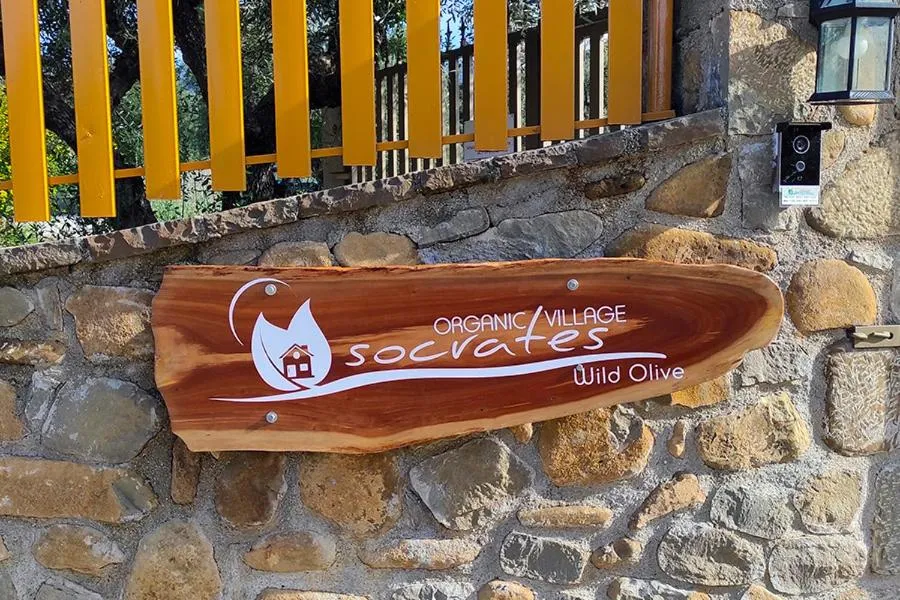 Socrates Organic Village - Wild Olive
