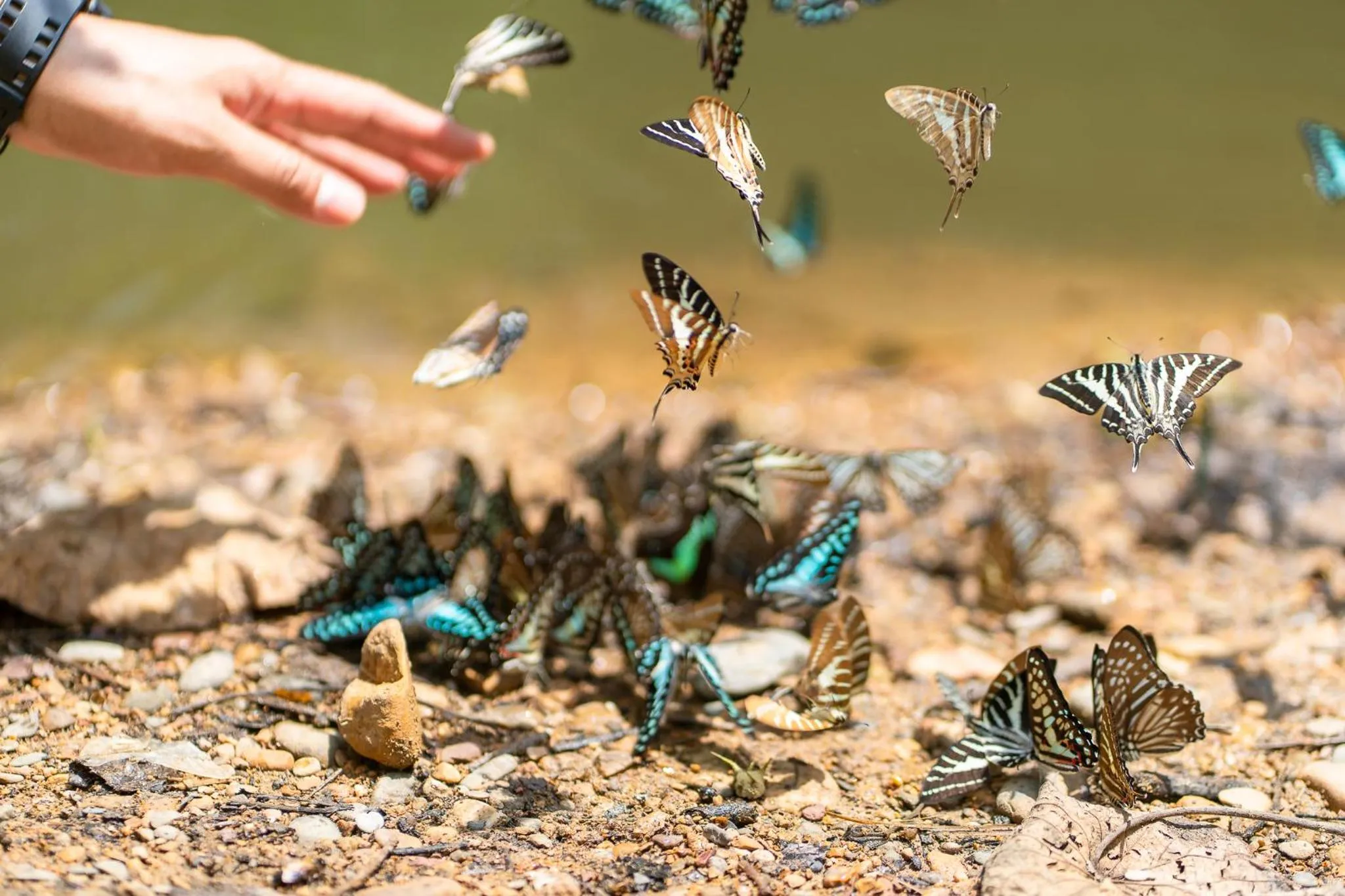 Activities in Kaengkrachan Boathouse Paradise Resort