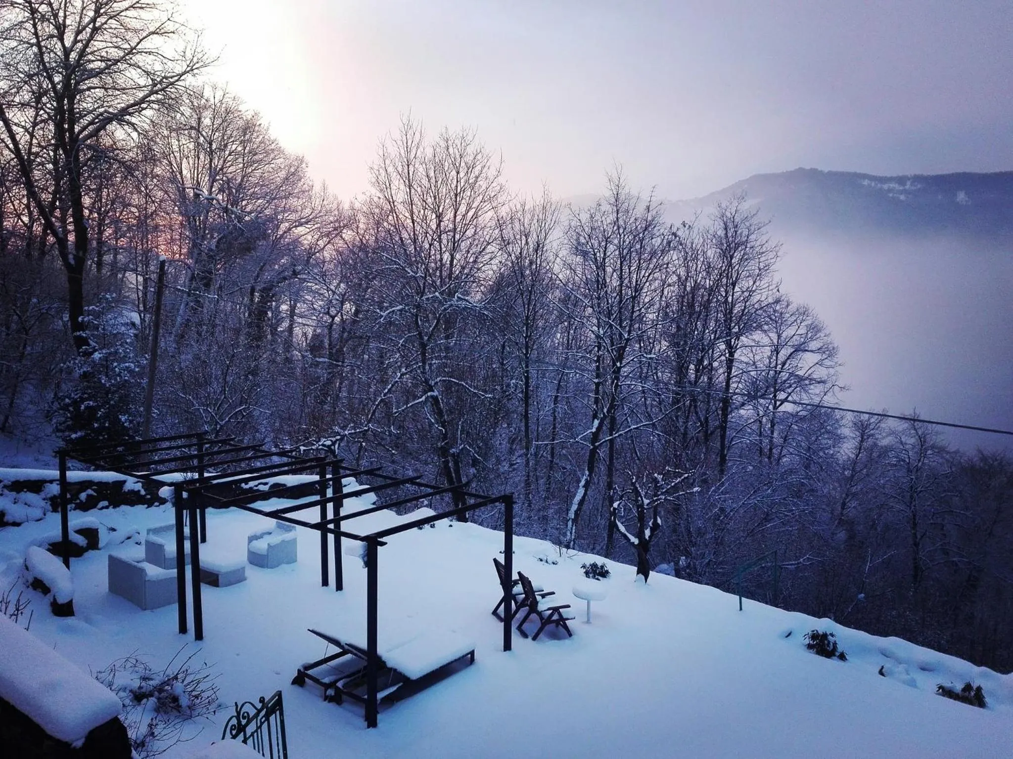 Garden in Essentia Guest House