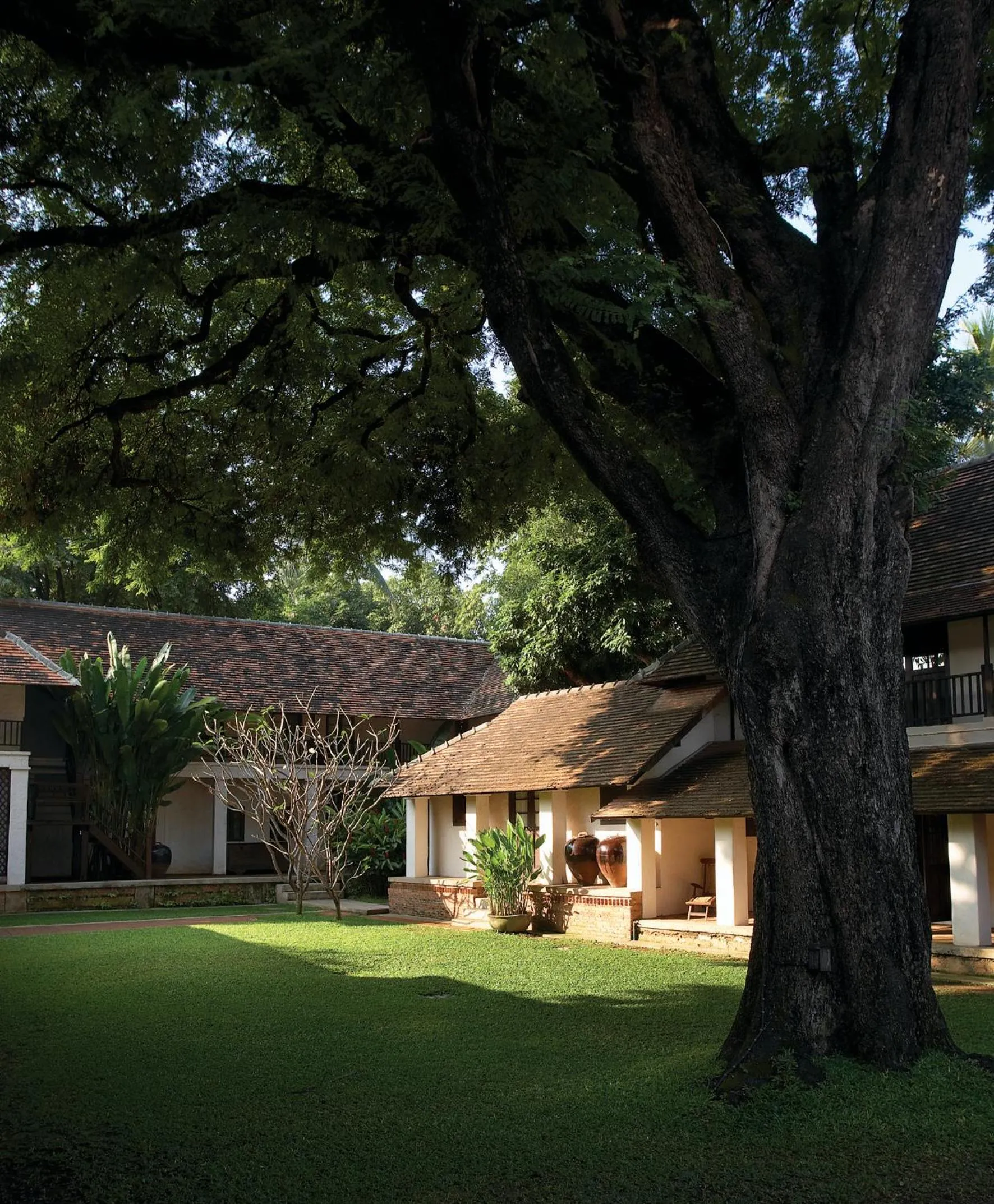 Garden in Tamarind Village