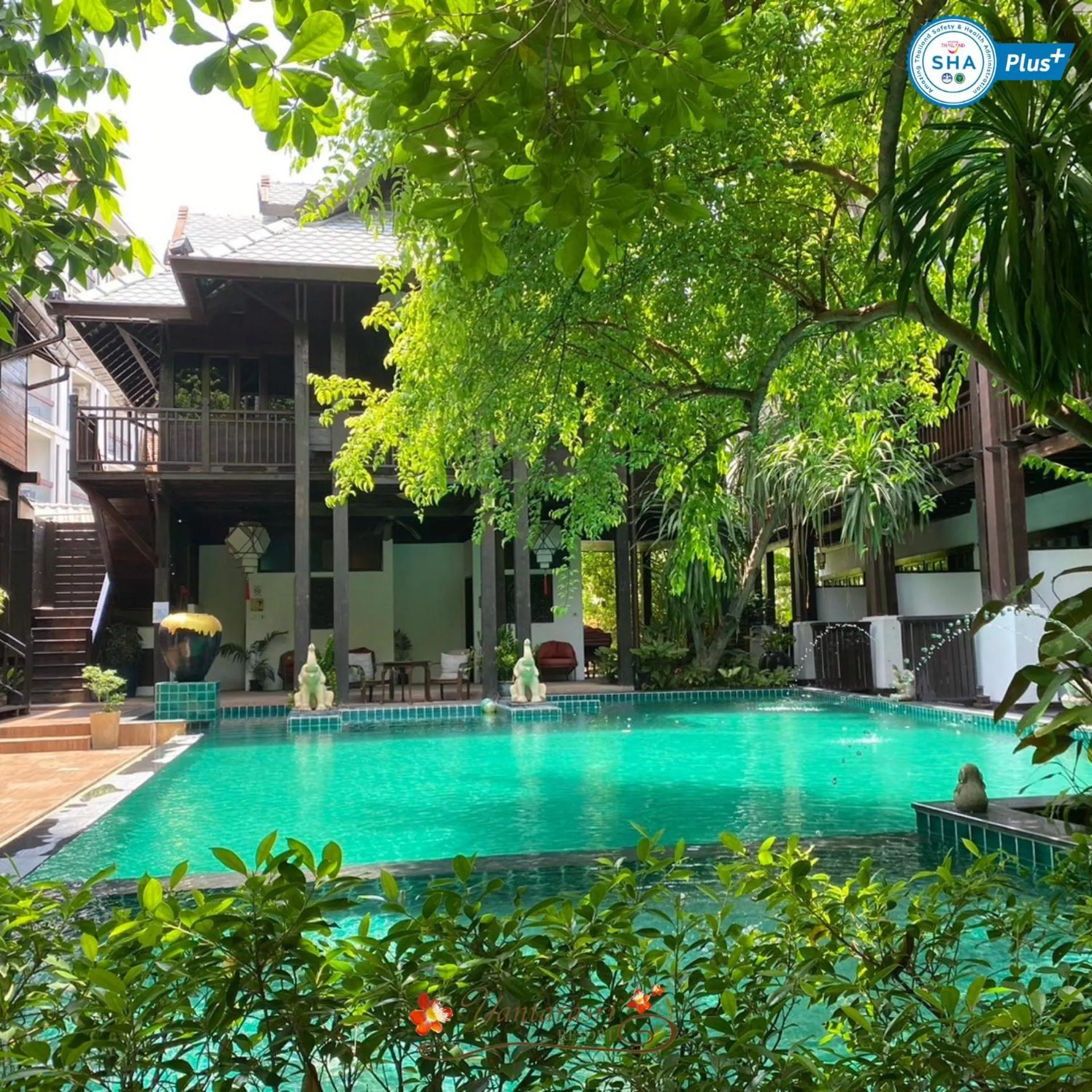 Garden in Yantarasri Resort