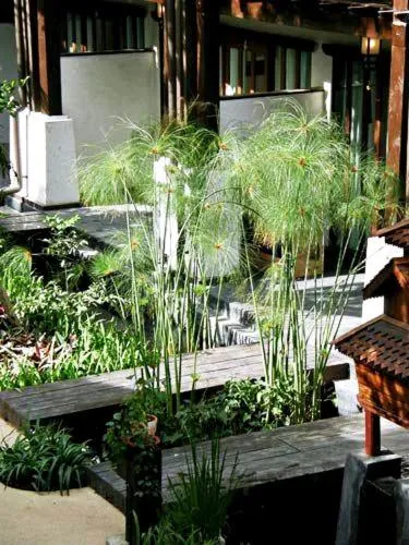 Property building in Yantarasri Resort