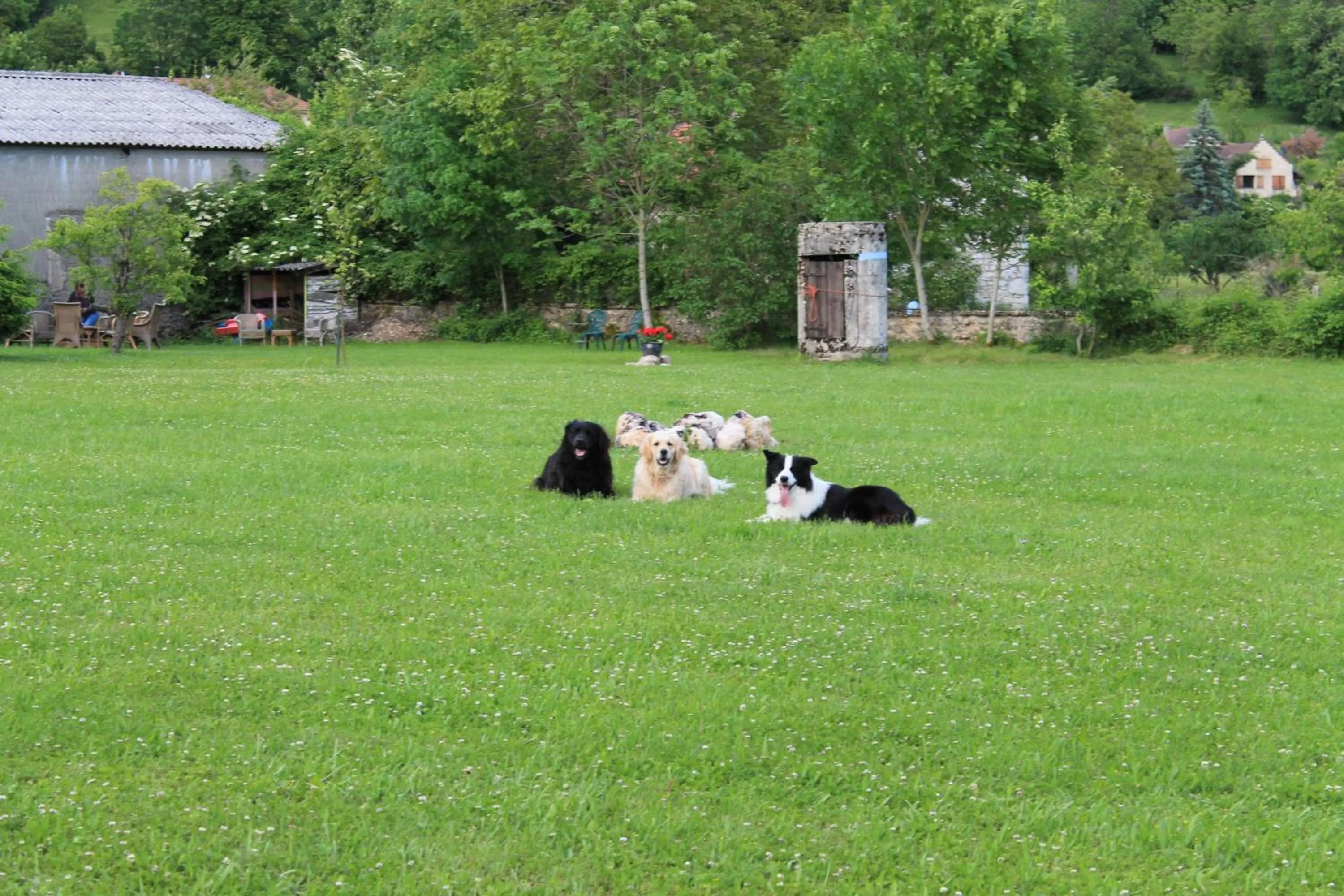 People in Goute la vie