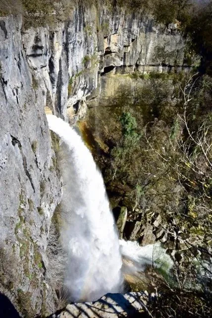 Animals in Goute la vie