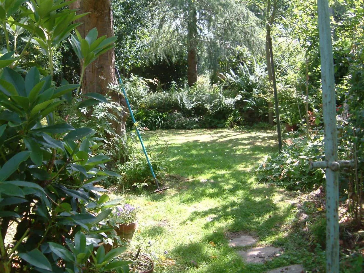 Natural landscape in Terrace hotel