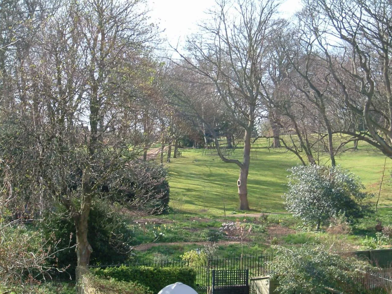 Natural landscape in Terrace hotel