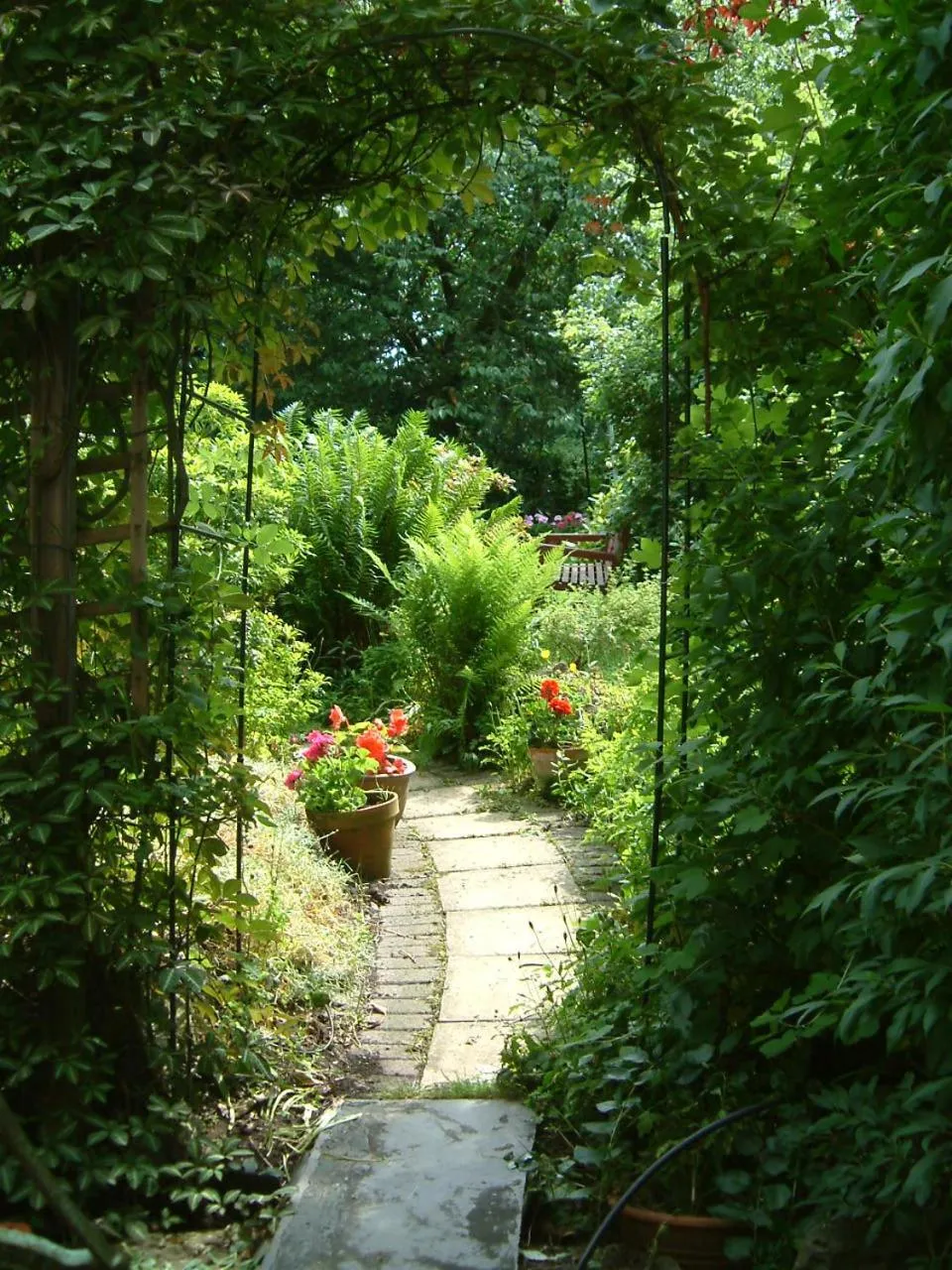 Natural landscape in Terrace hotel