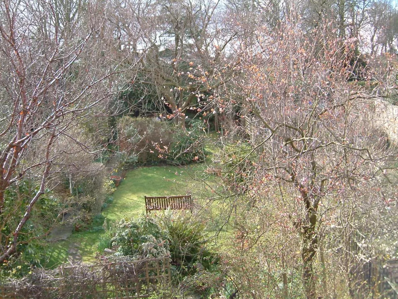 Garden view in Terrace hotel