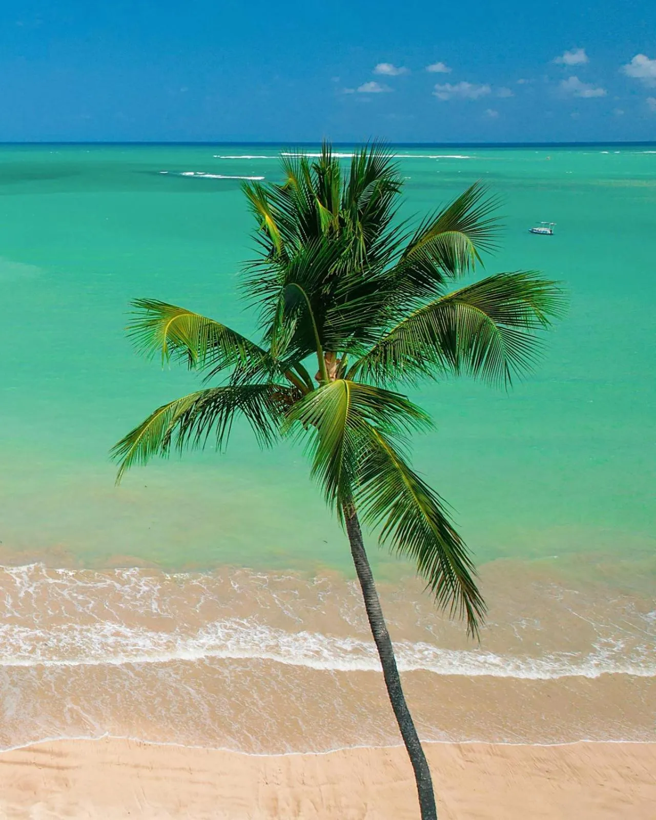 Natural landscape in Pousada Rota Ecológica