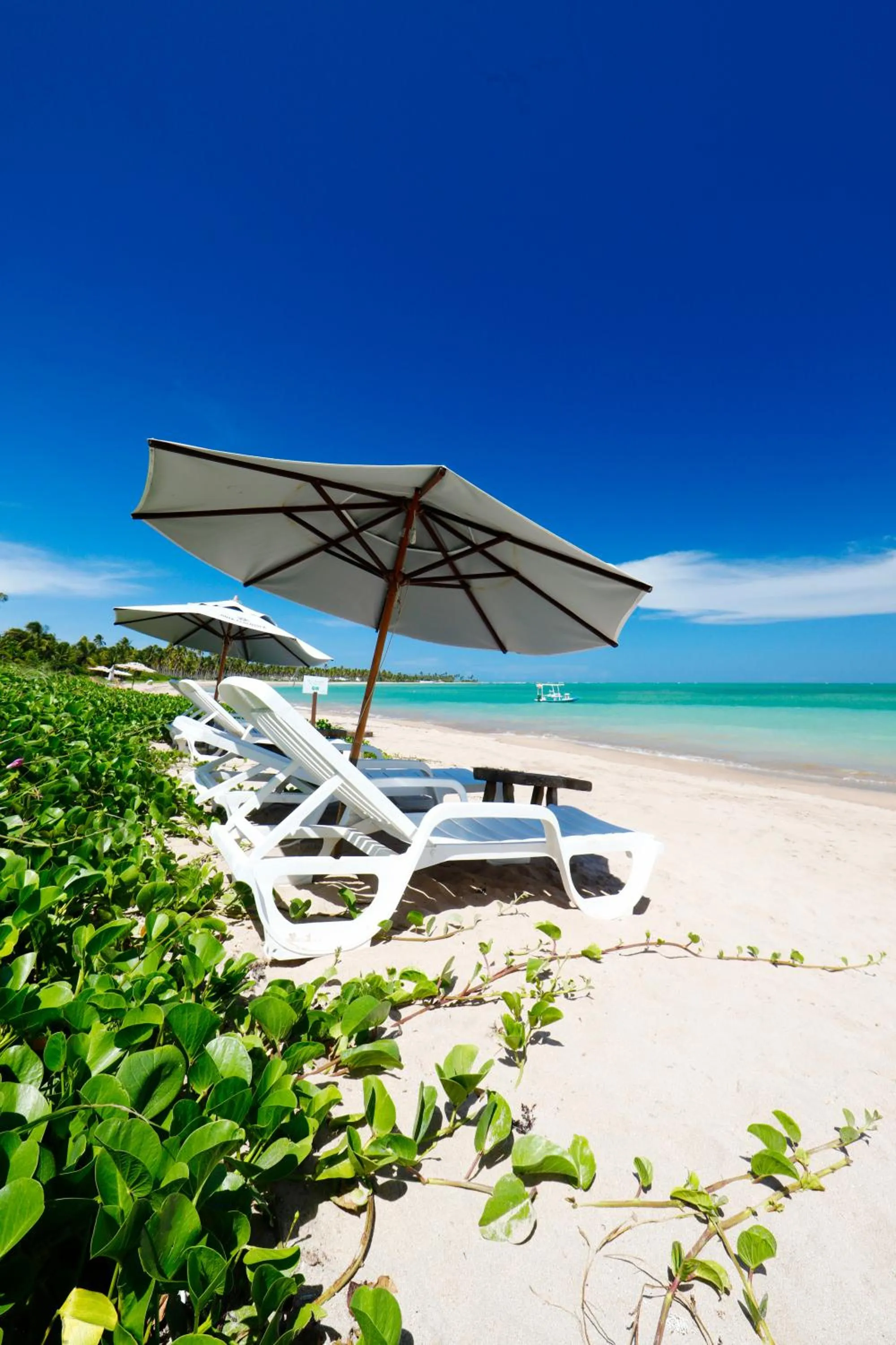 Beach in Pousada Rota Ecológica