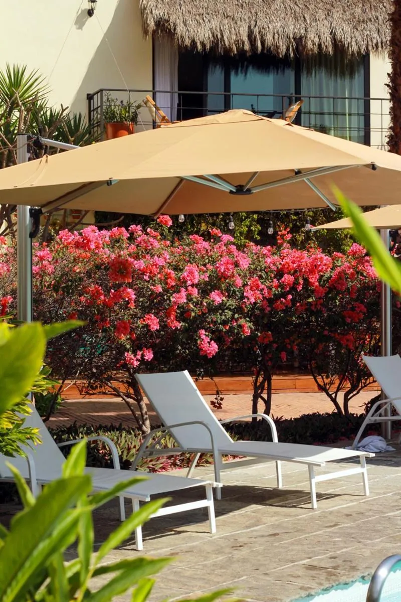 sunbed in San Trópico Boutique Hotel & Peaceful Escape