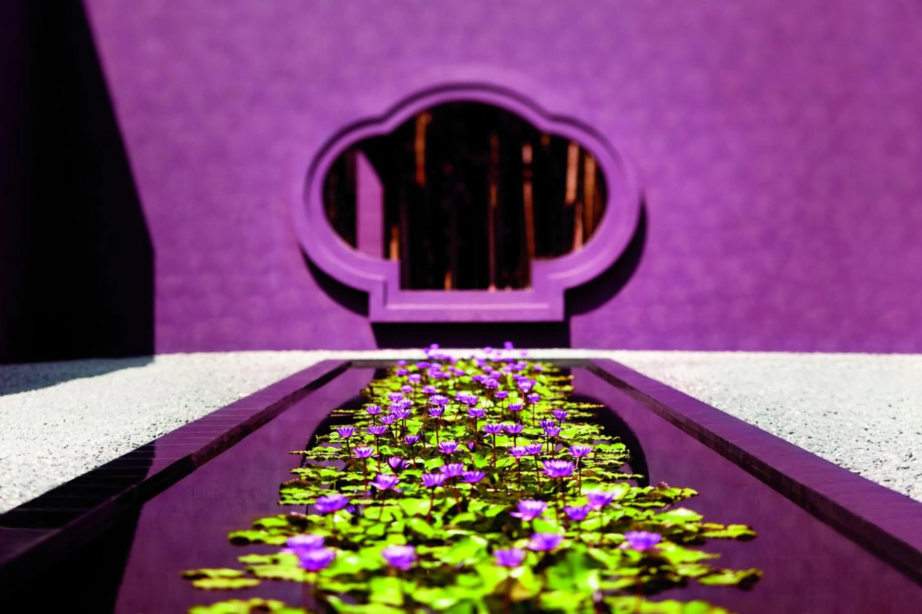 View (from property/room) in Phulay Bay, a Ritz-Carlton Reserve