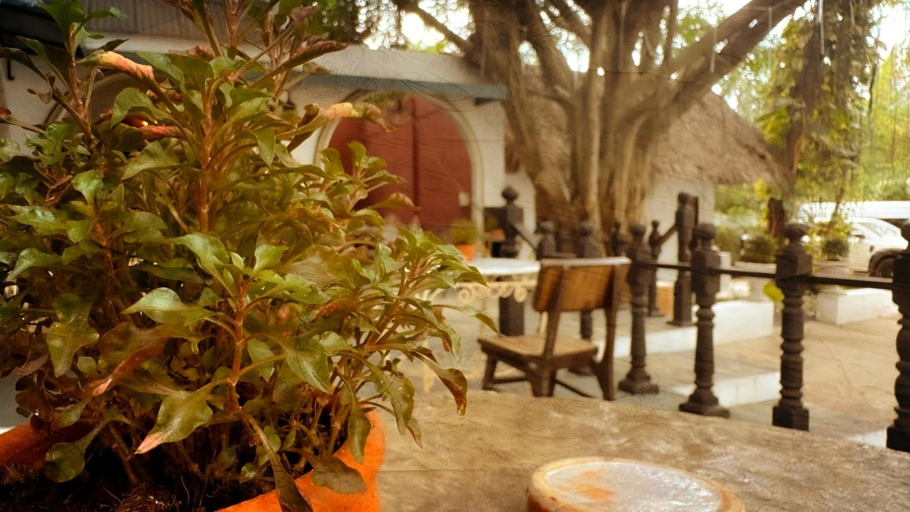 Patio in Milky Bay Resort