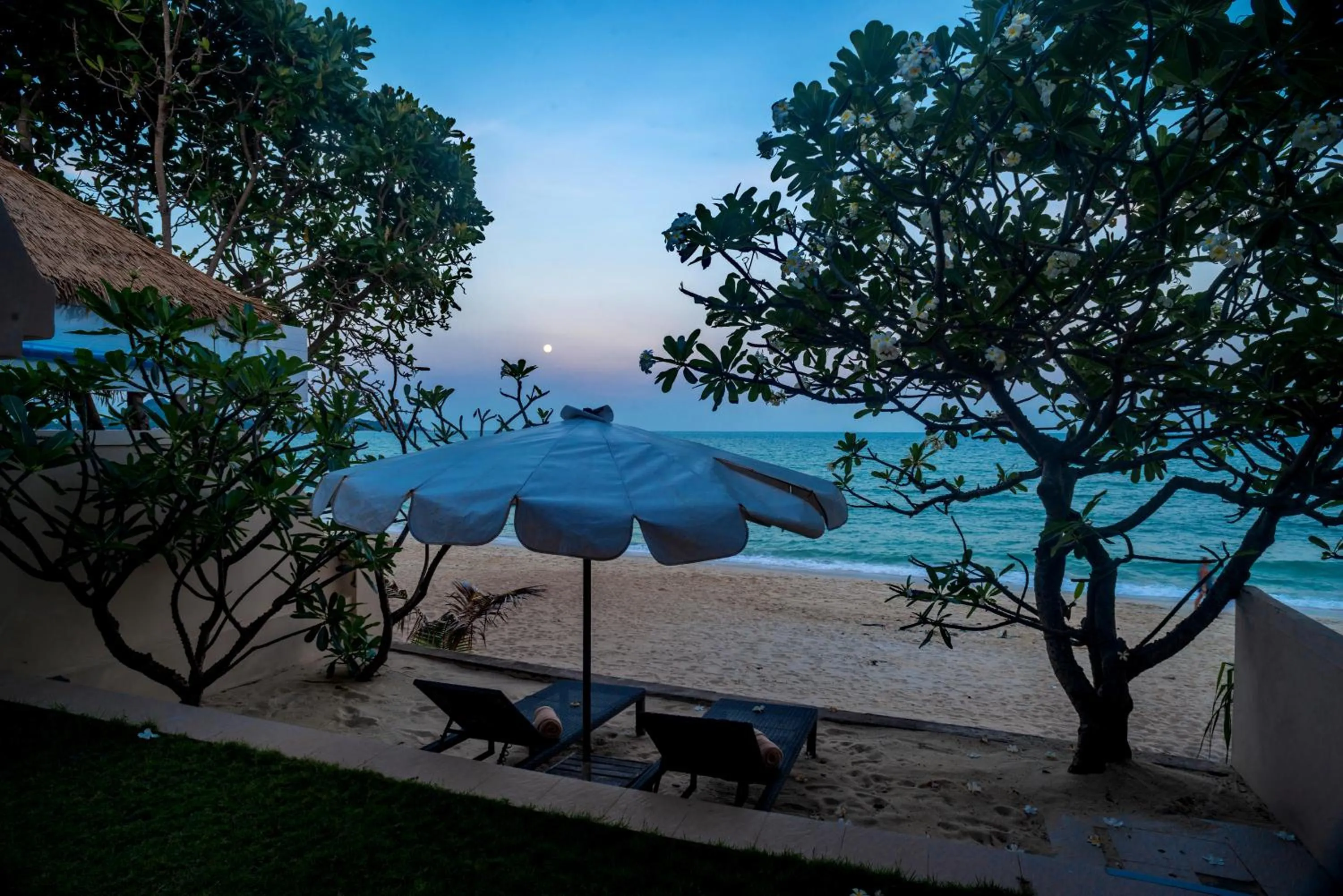 Summer in Aloha Resort