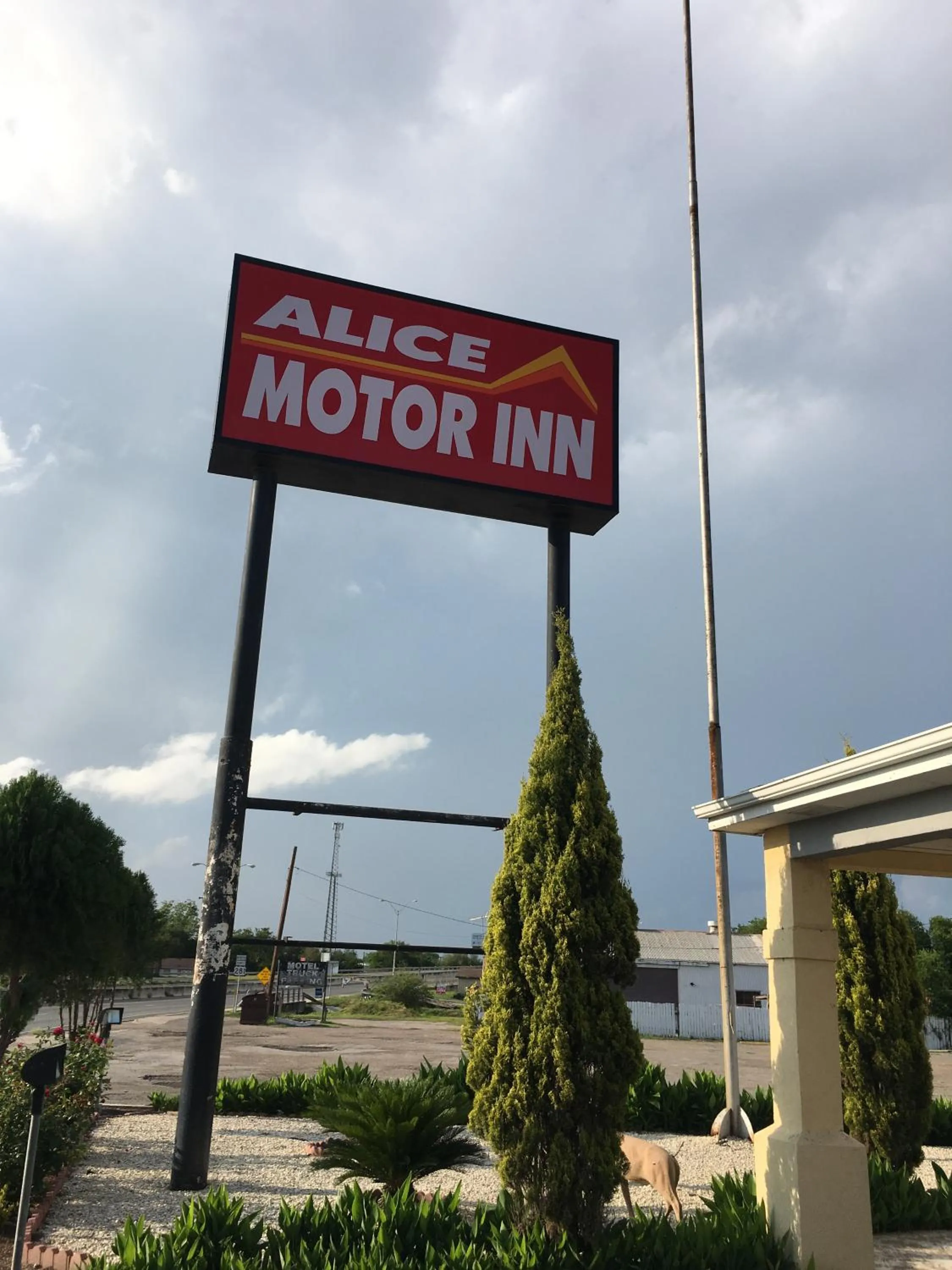 Time of day in Alice Motor Inn