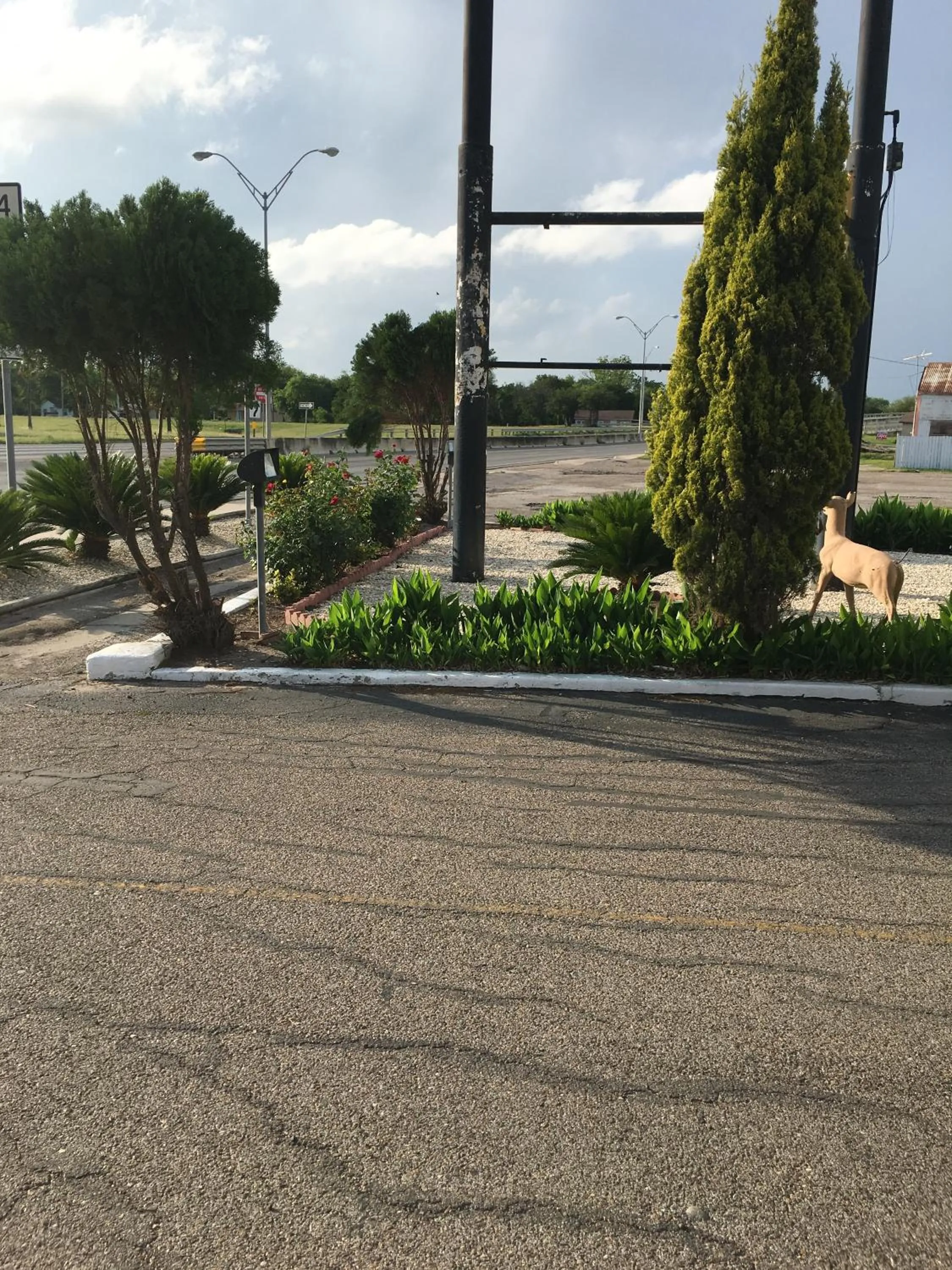 Spring in Alice Motor Inn