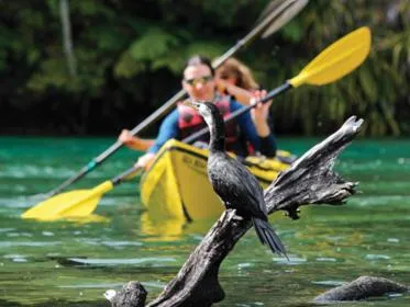 Canoeing, Other Animals in The Westport Hotel