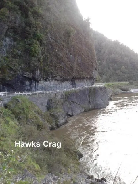 Natural Landscape in The Westport Hotel