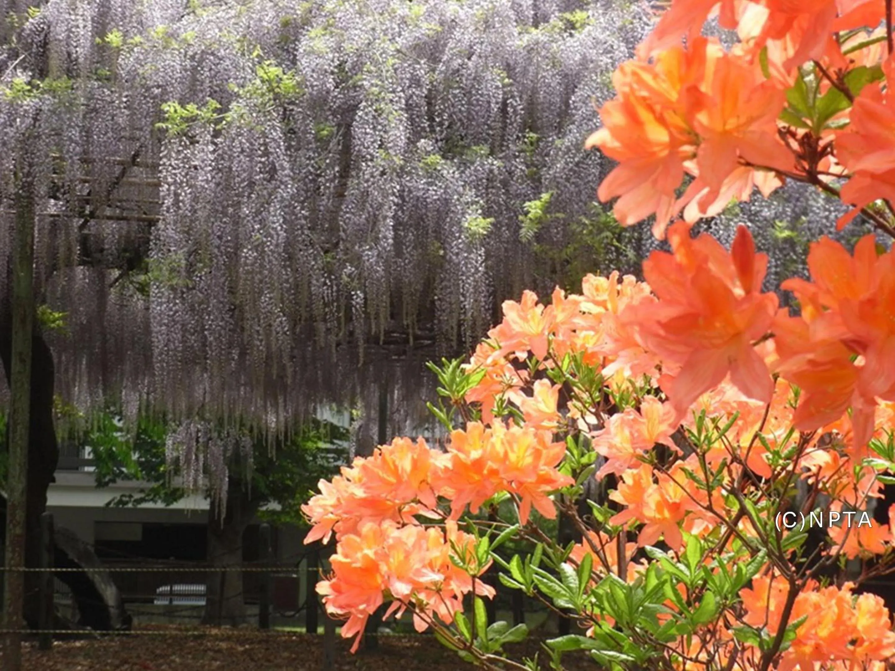 Nearby landmark in Le Grand Kyu Karuizawa