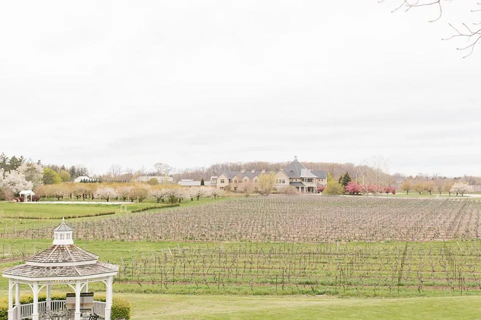 View (from property/room) in Riverbend Inn & Vineyard