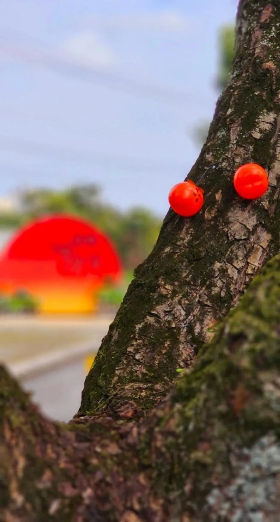 Property building in Hualien Toongmao Resort