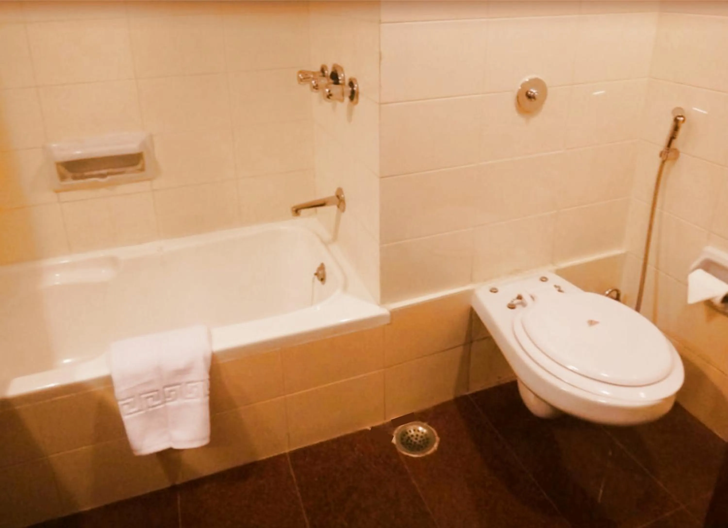 Bathroom in Clarks Khajuraho