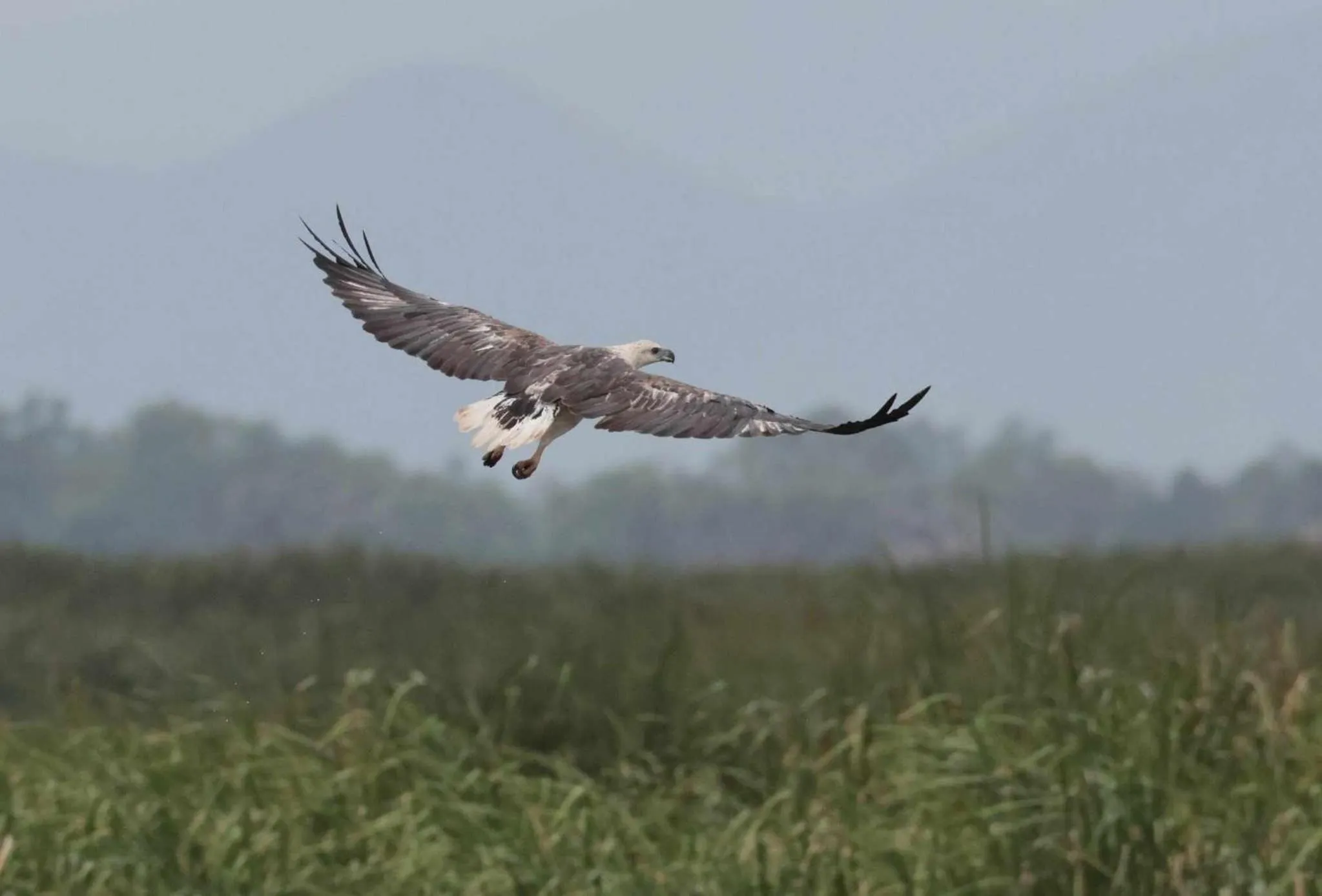 Lake view in Lungcha Homestay