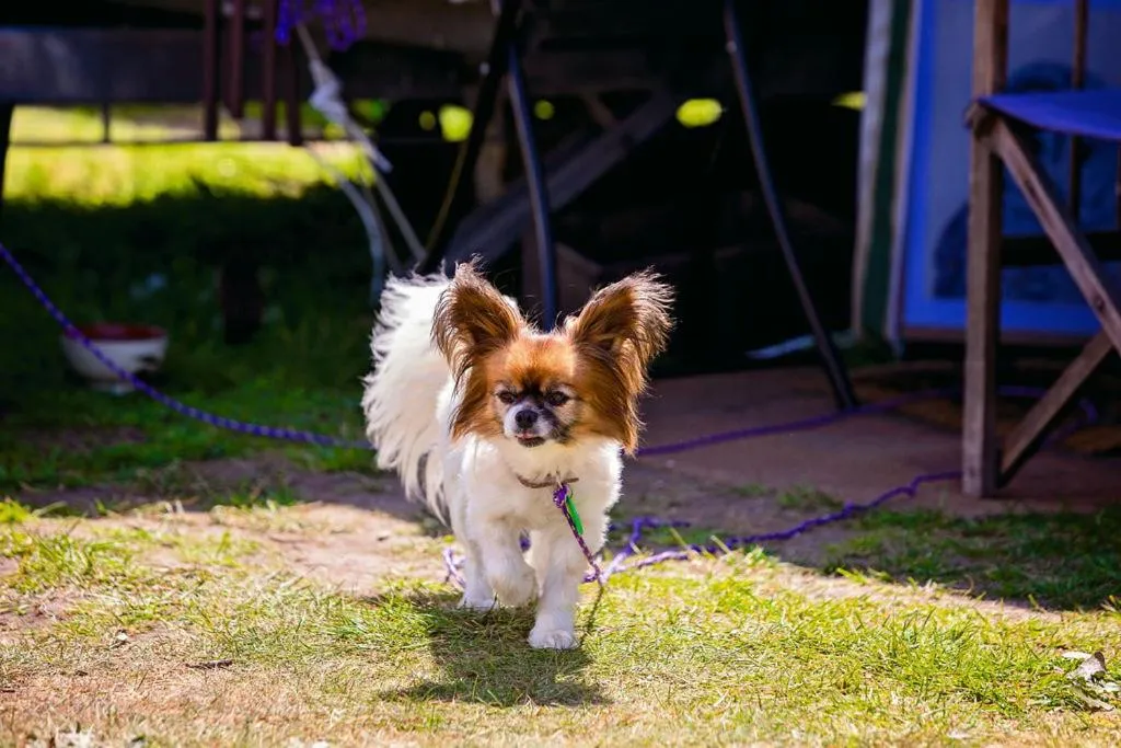 Leithfield Beach Holiday Park