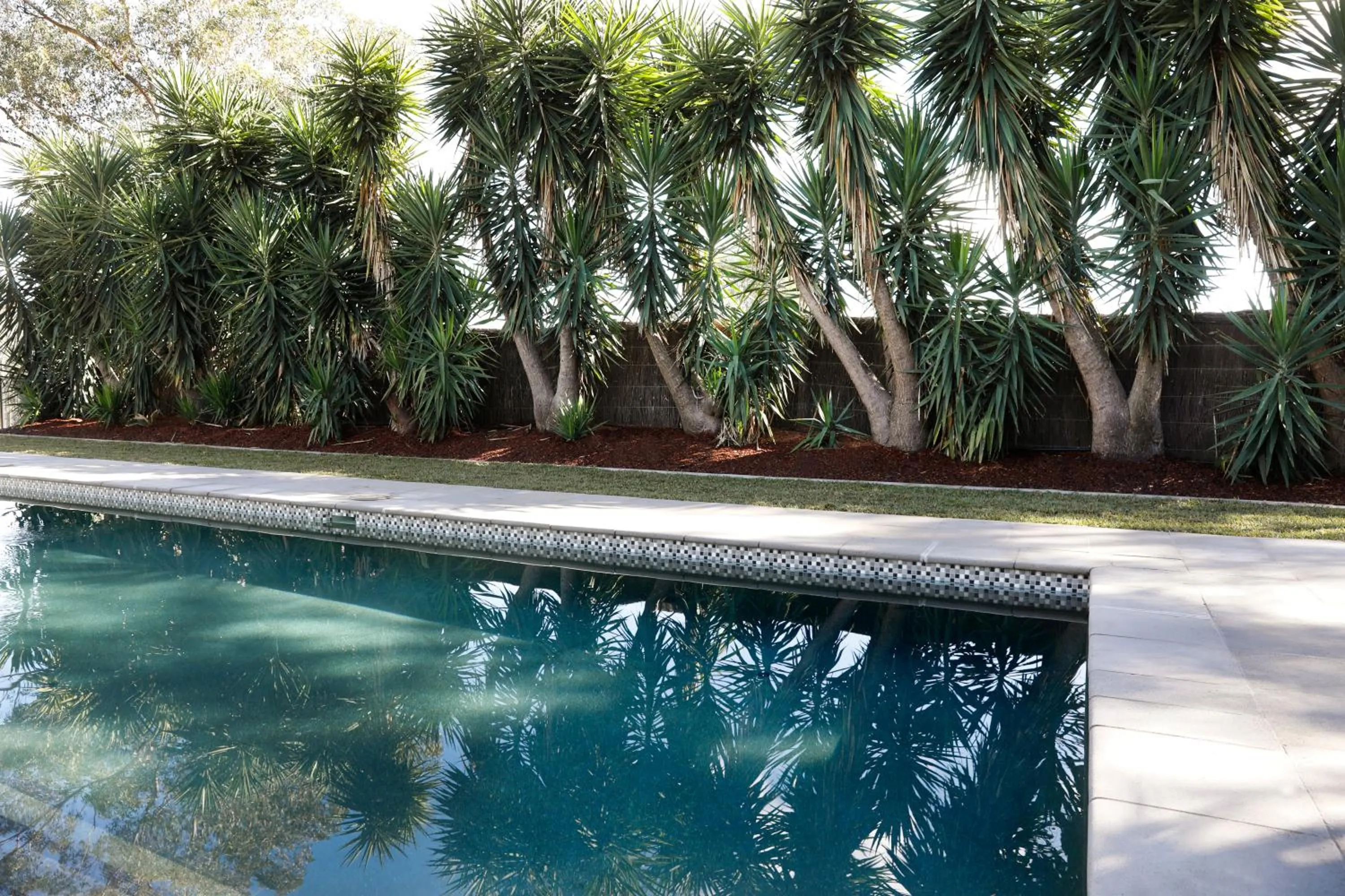 Swimming pool in Spicers Vineyards Estate