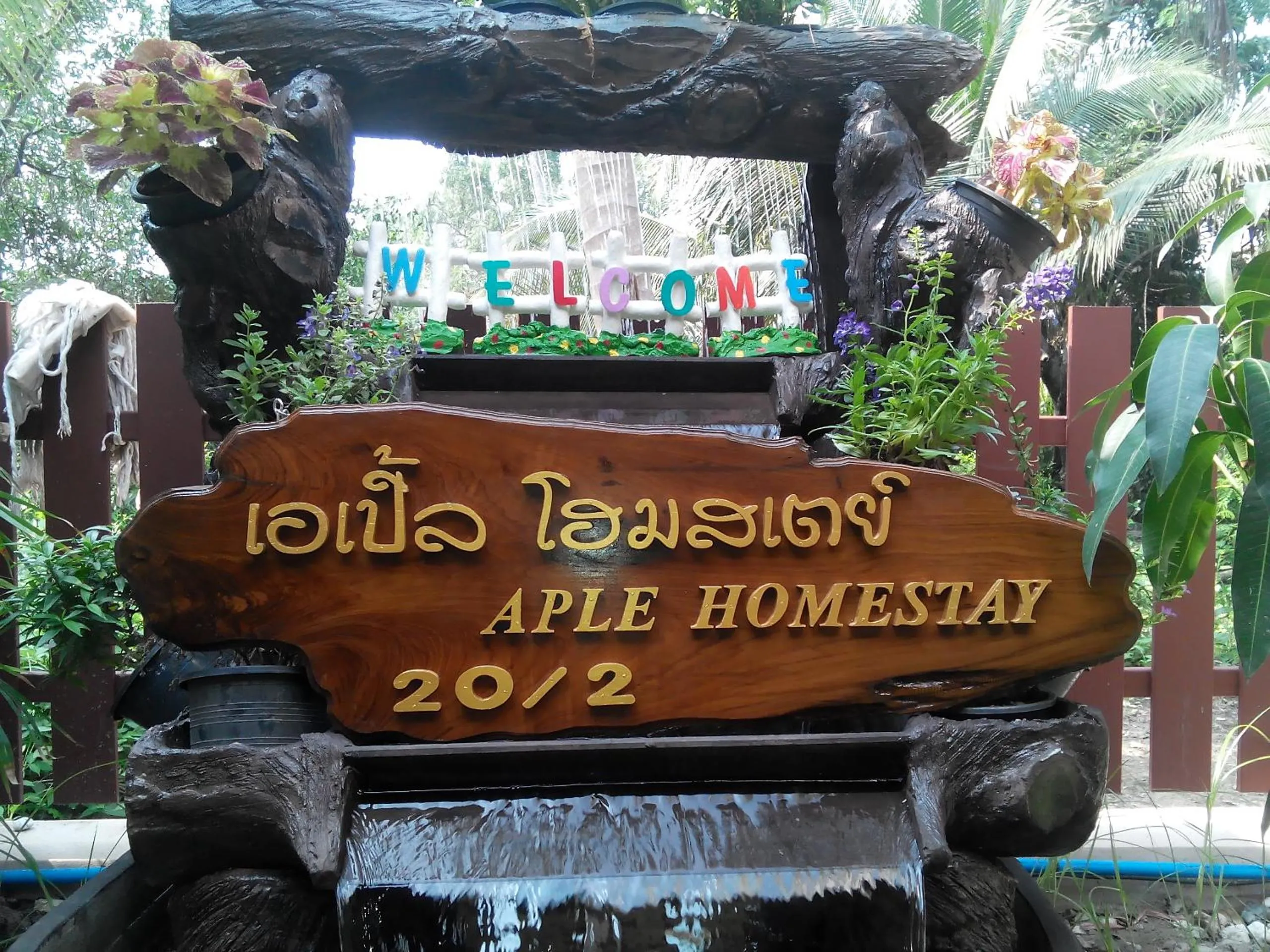 Natural landscape in Aple Homestay