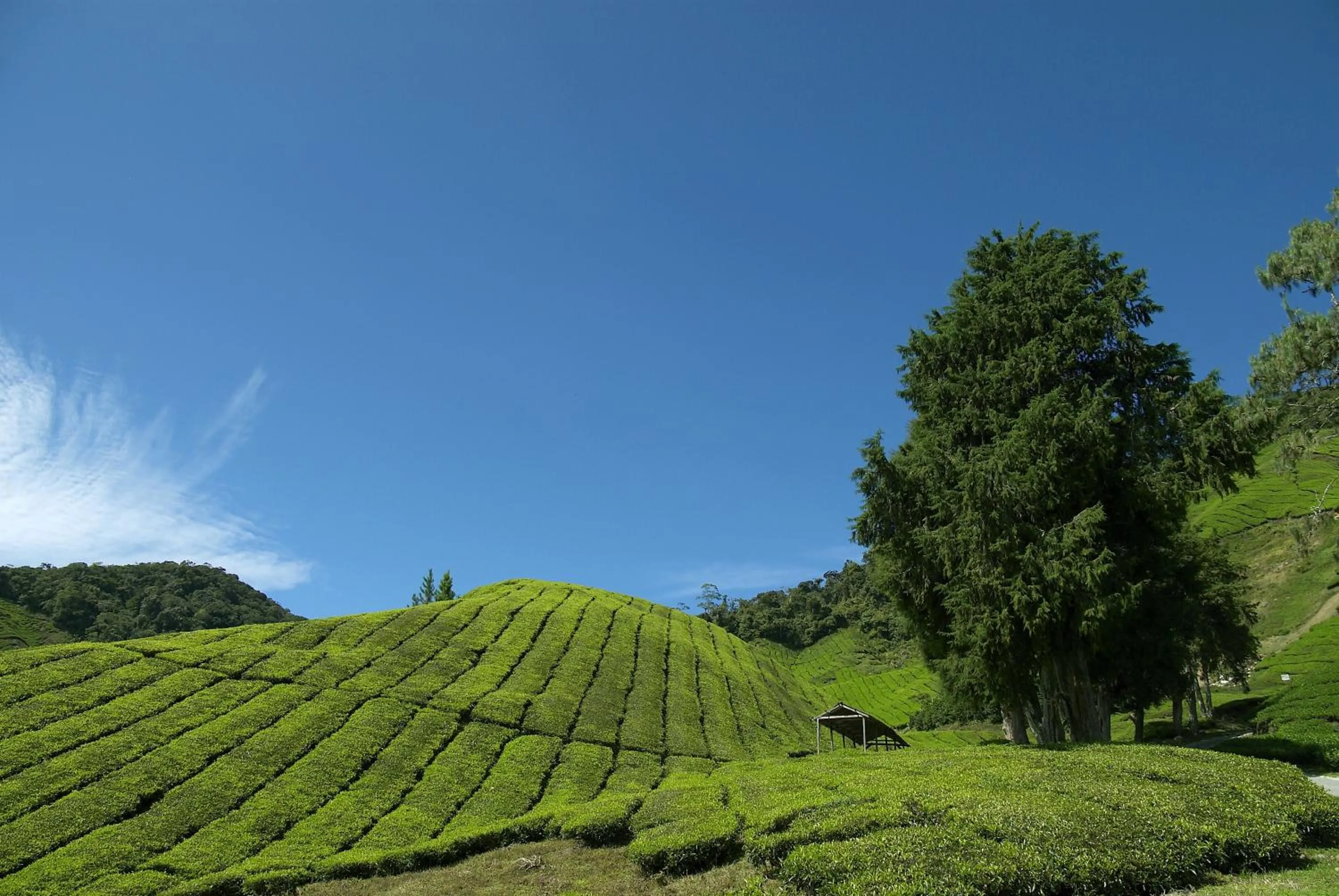 Area and facilities in Cameron Highlands Resort - Small Luxury Hotels of the World