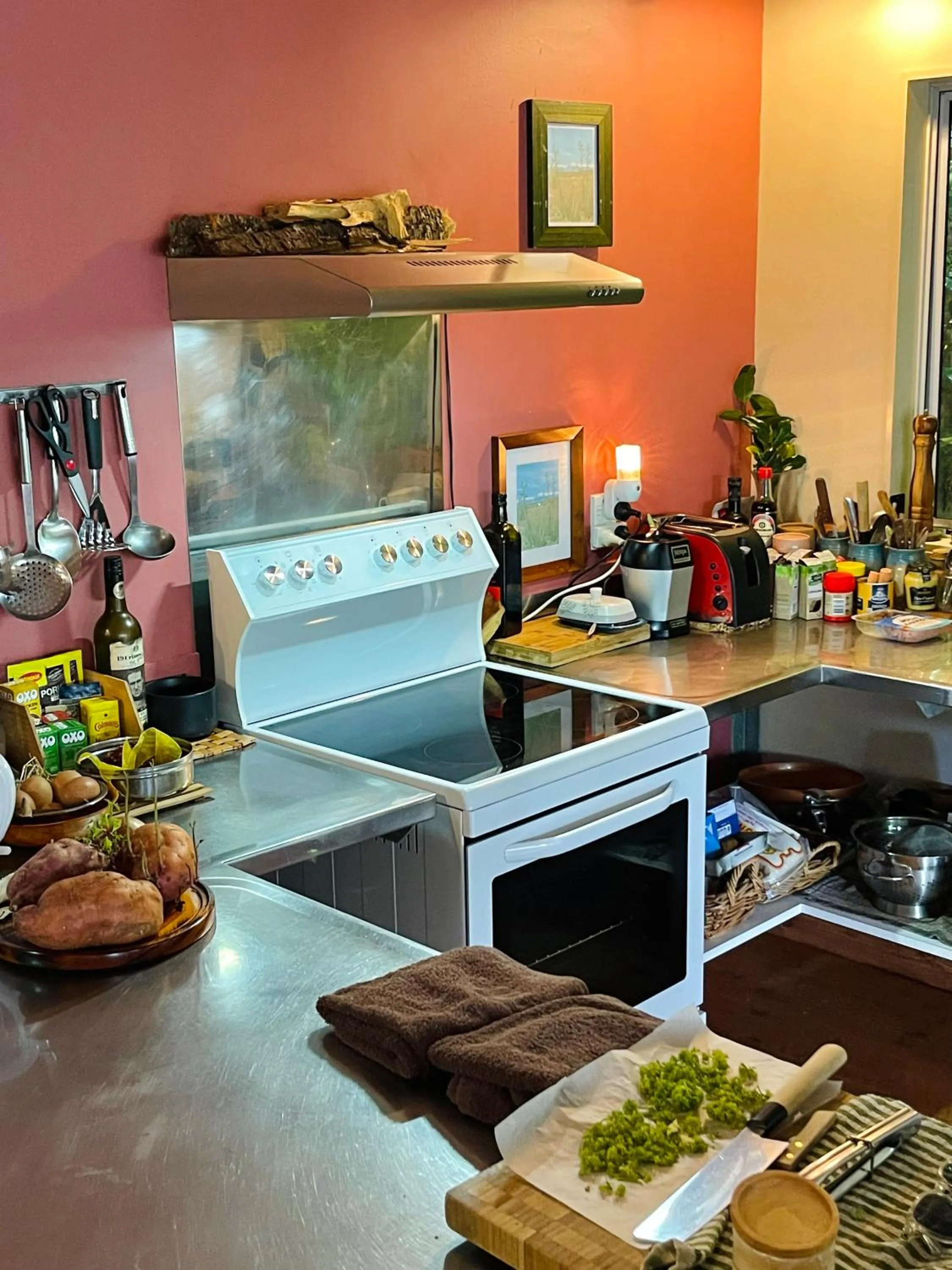 kitchen in Howard's Mountain Lodge