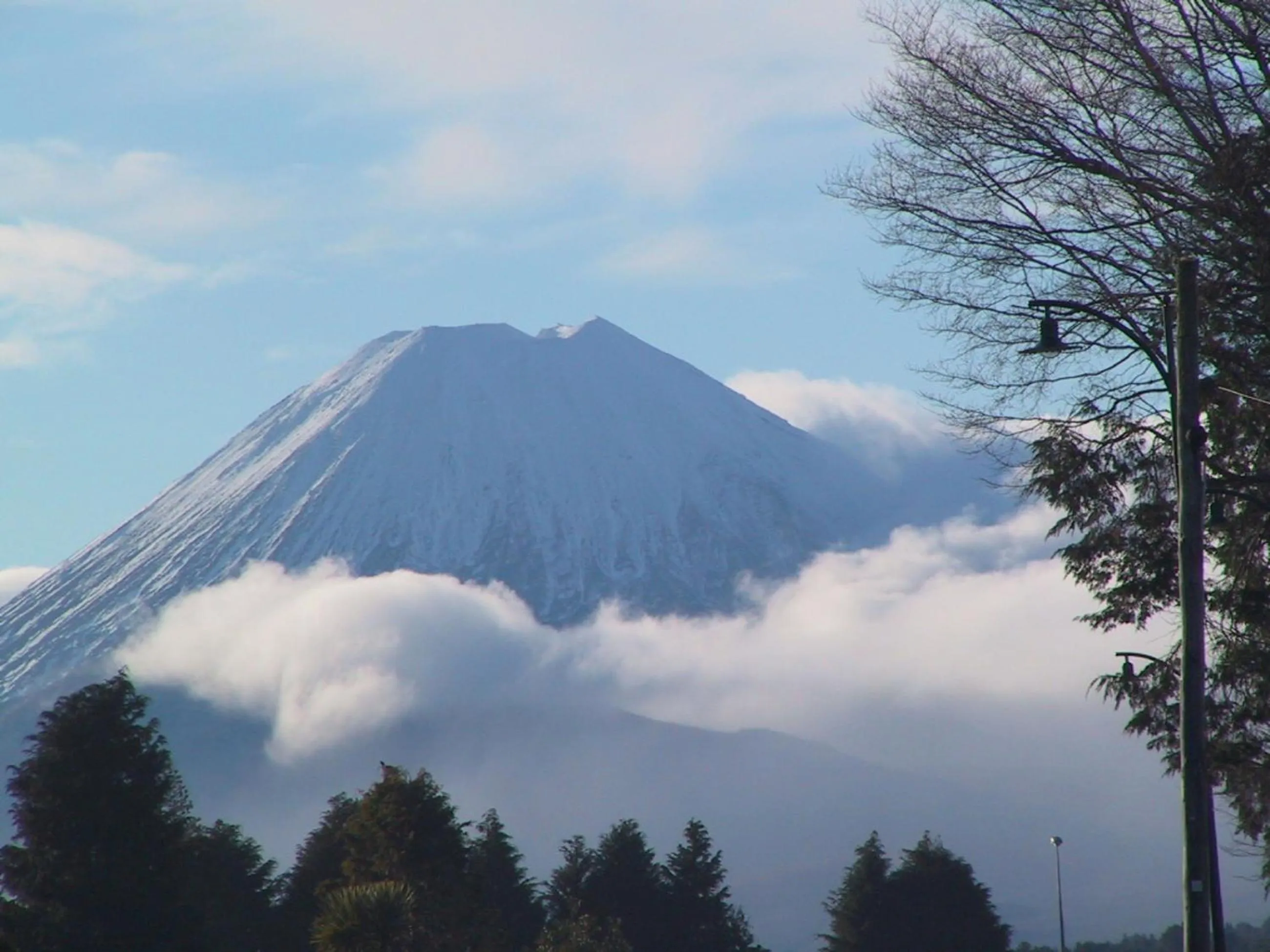 Hiking in Howard's Mountain Lodge