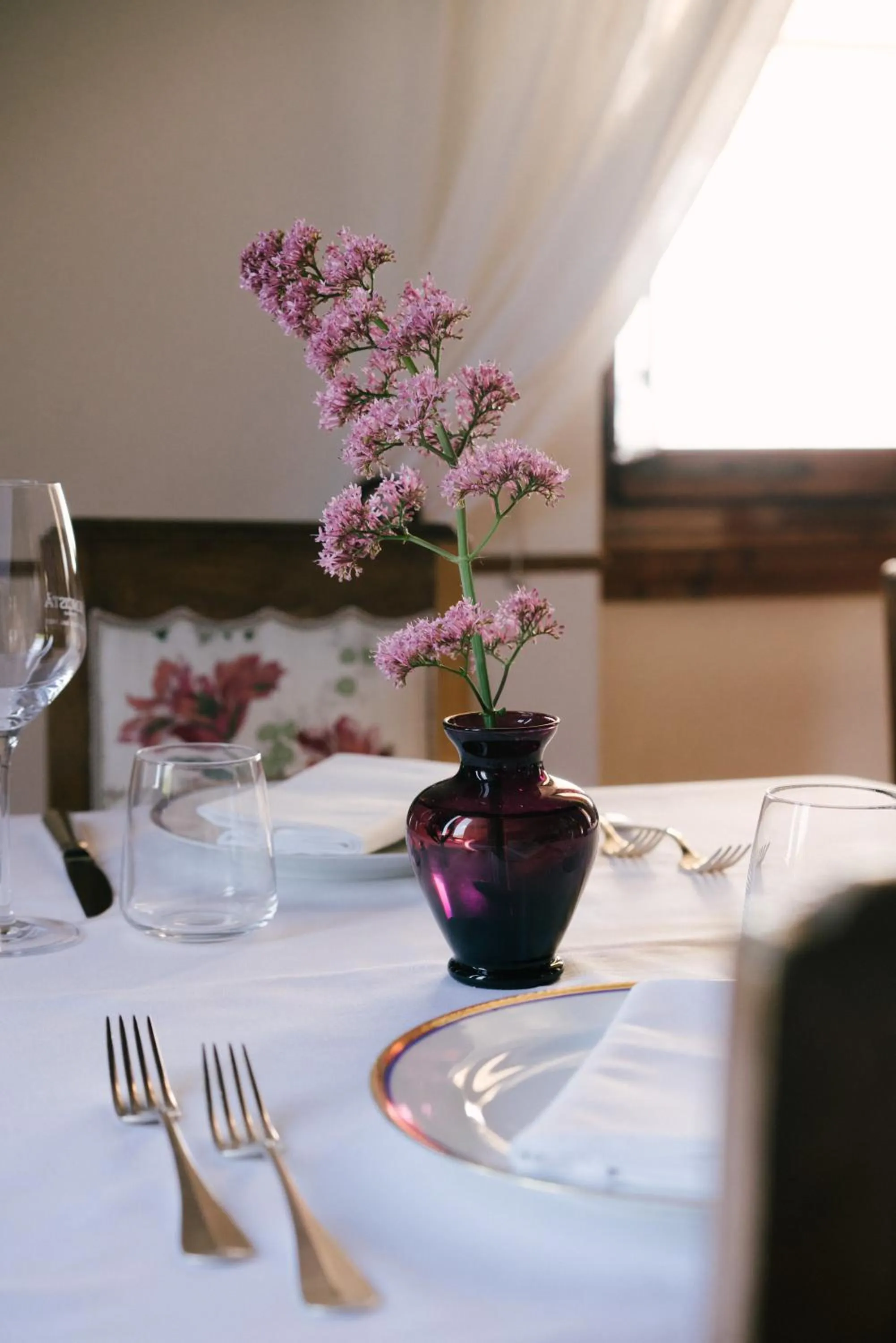 Restaurant/places to eat in Pensione Bencistà