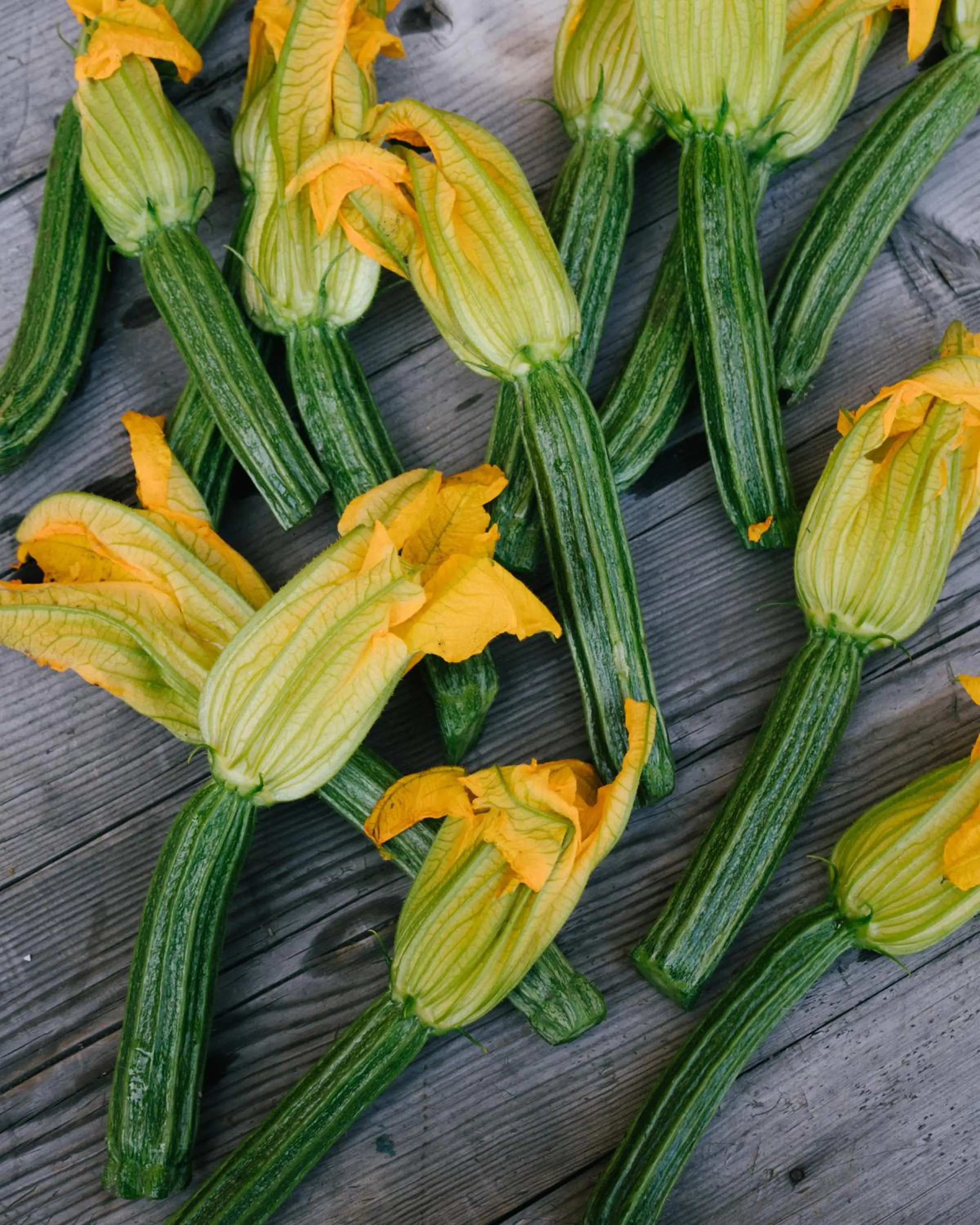 Restaurant/places to eat in Pensione Bencistà