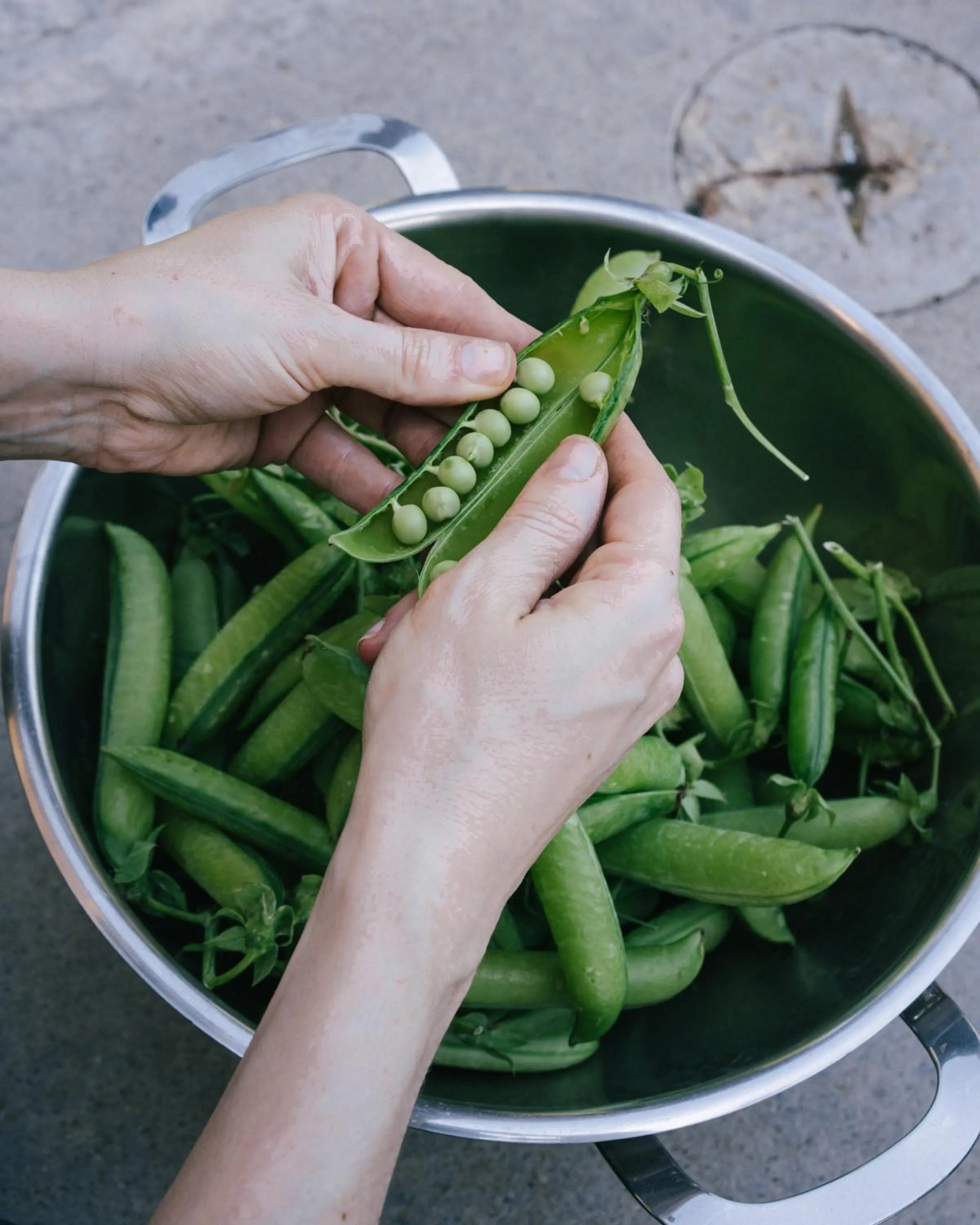 Restaurant/places to eat in Pensione Bencistà