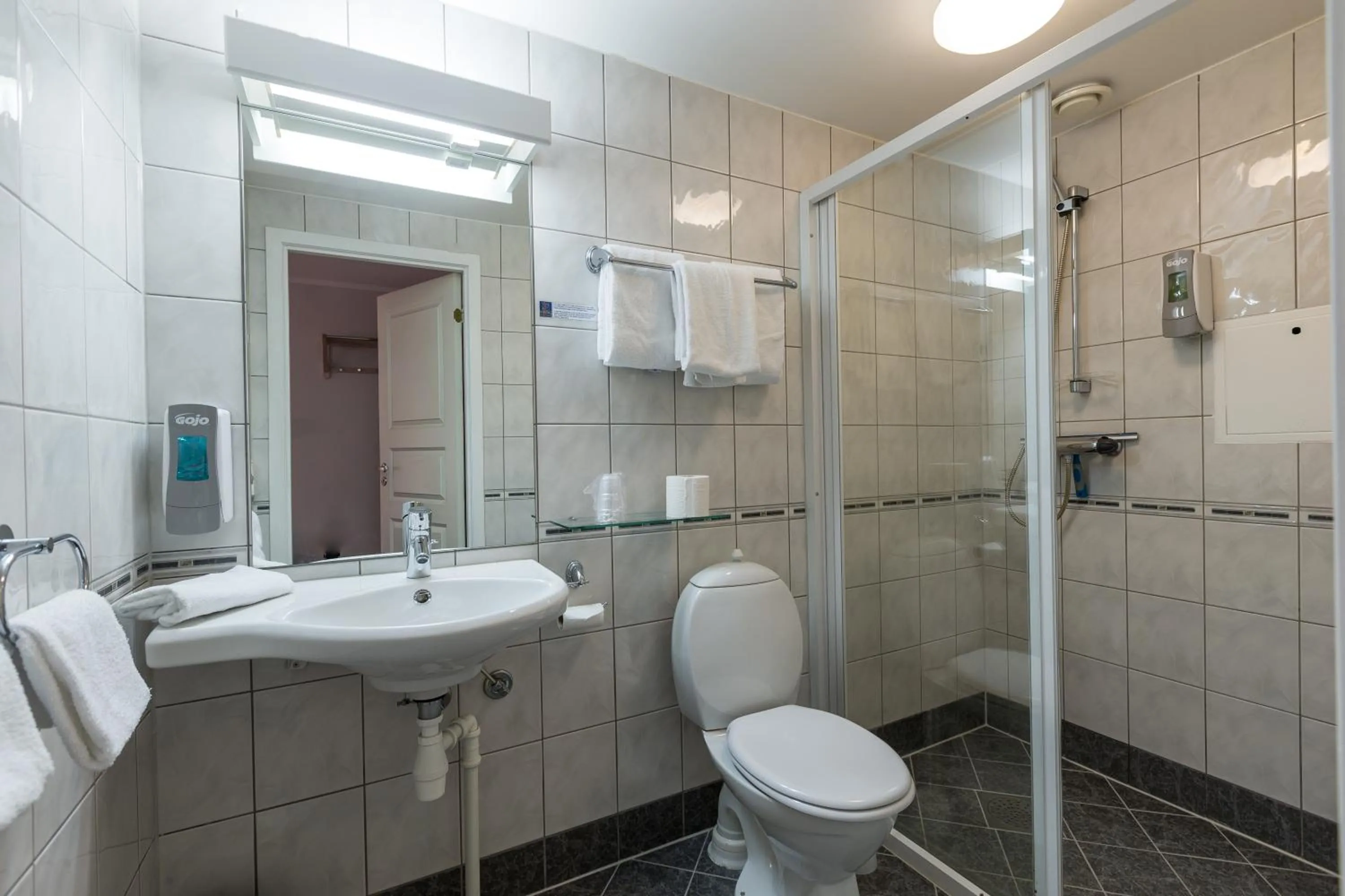 Bathroom in Enter Viking Hotel