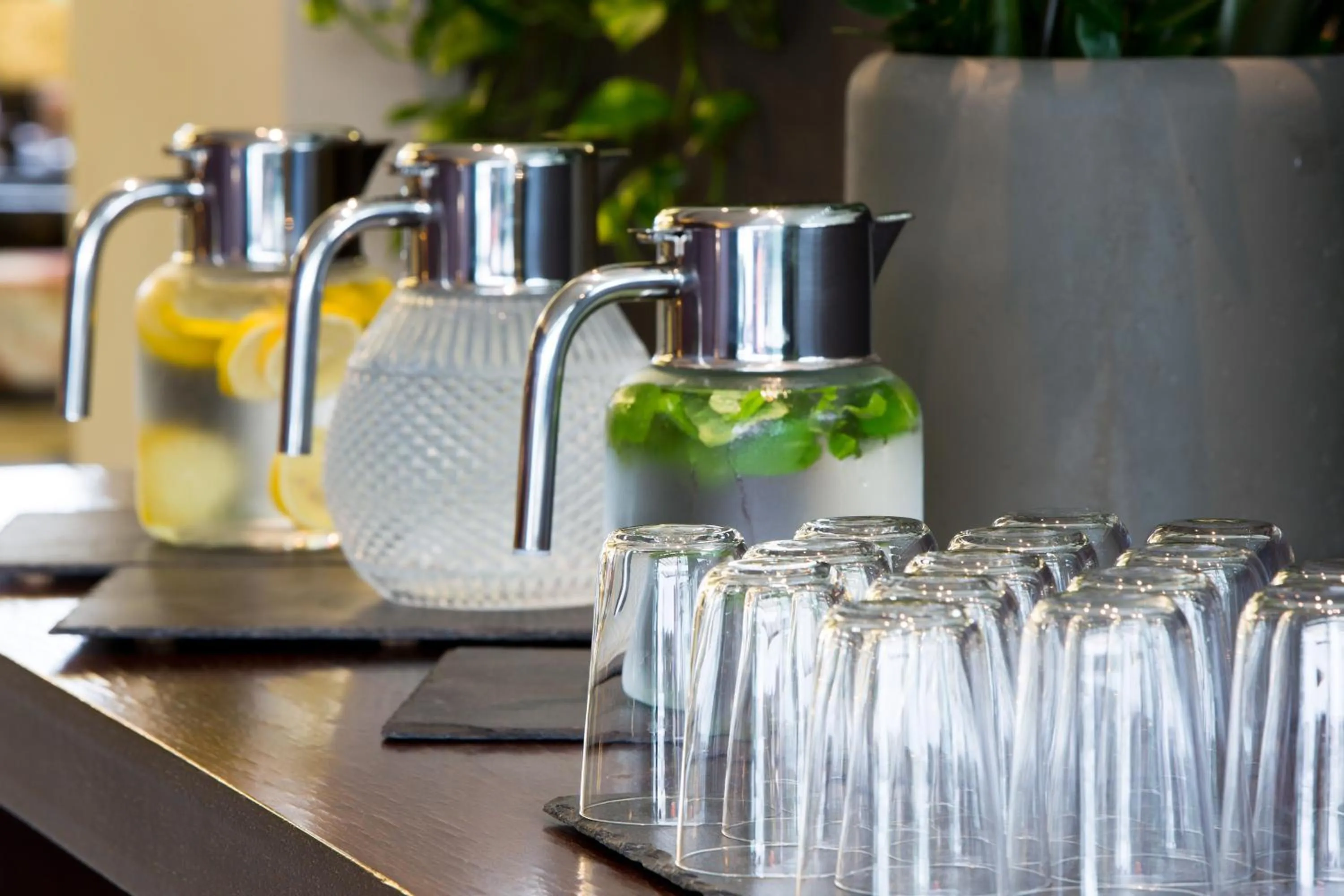 Area and facilities in Best Western Plus Hotel Expo