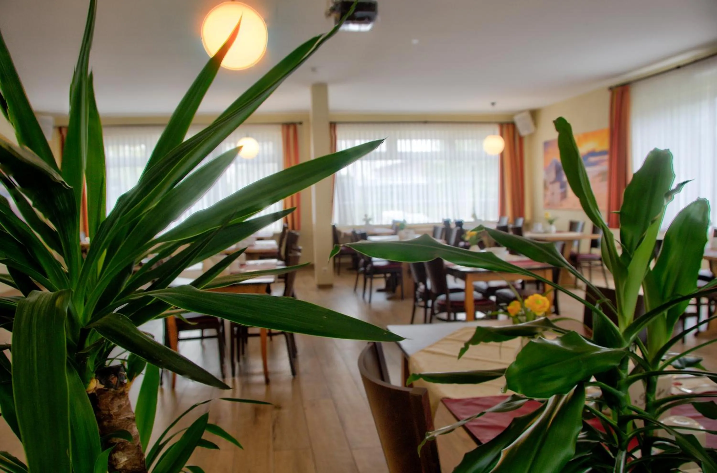 Food and drinks in Hotel Sonneninsel Fehmarn
