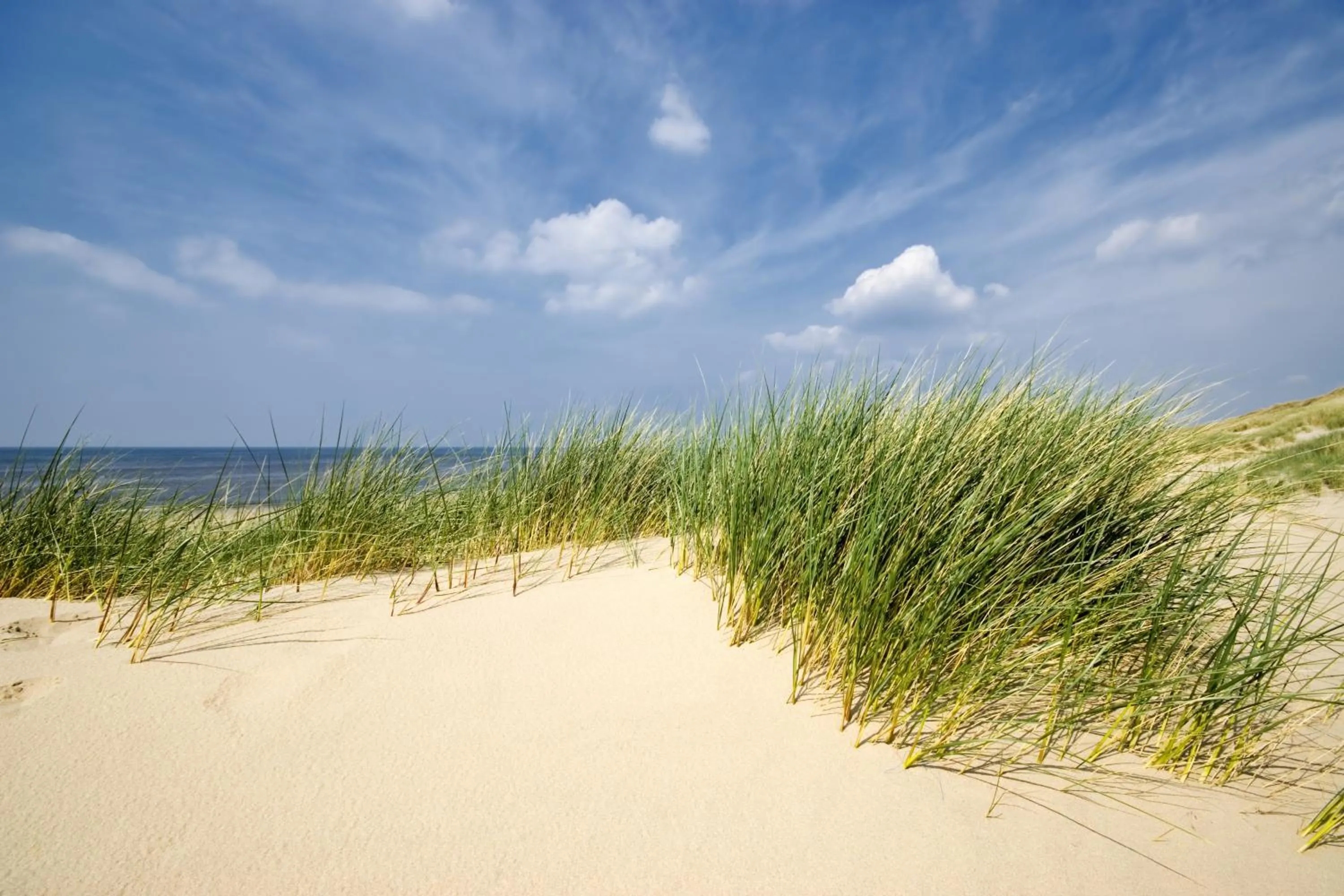 Beach in Hotel Sonneninsel Fehmarn