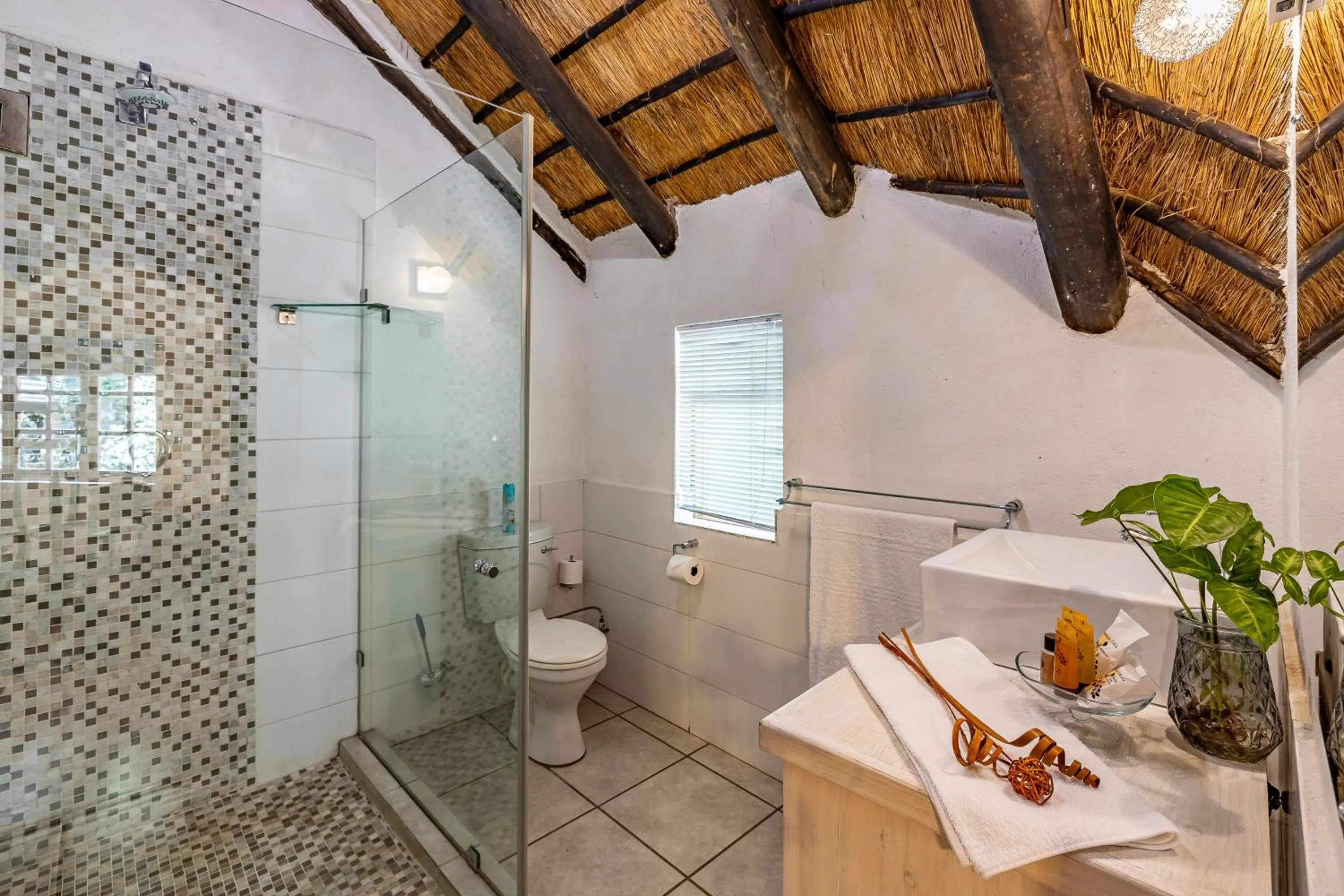 Shower in Woodlands Guest House