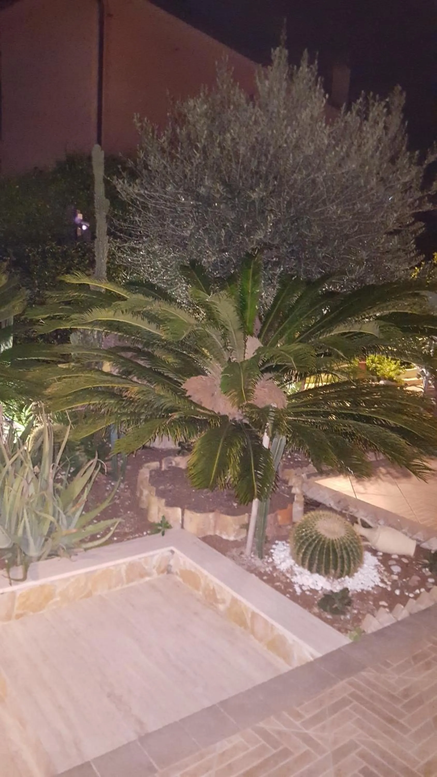 Garden in Villa Margherita