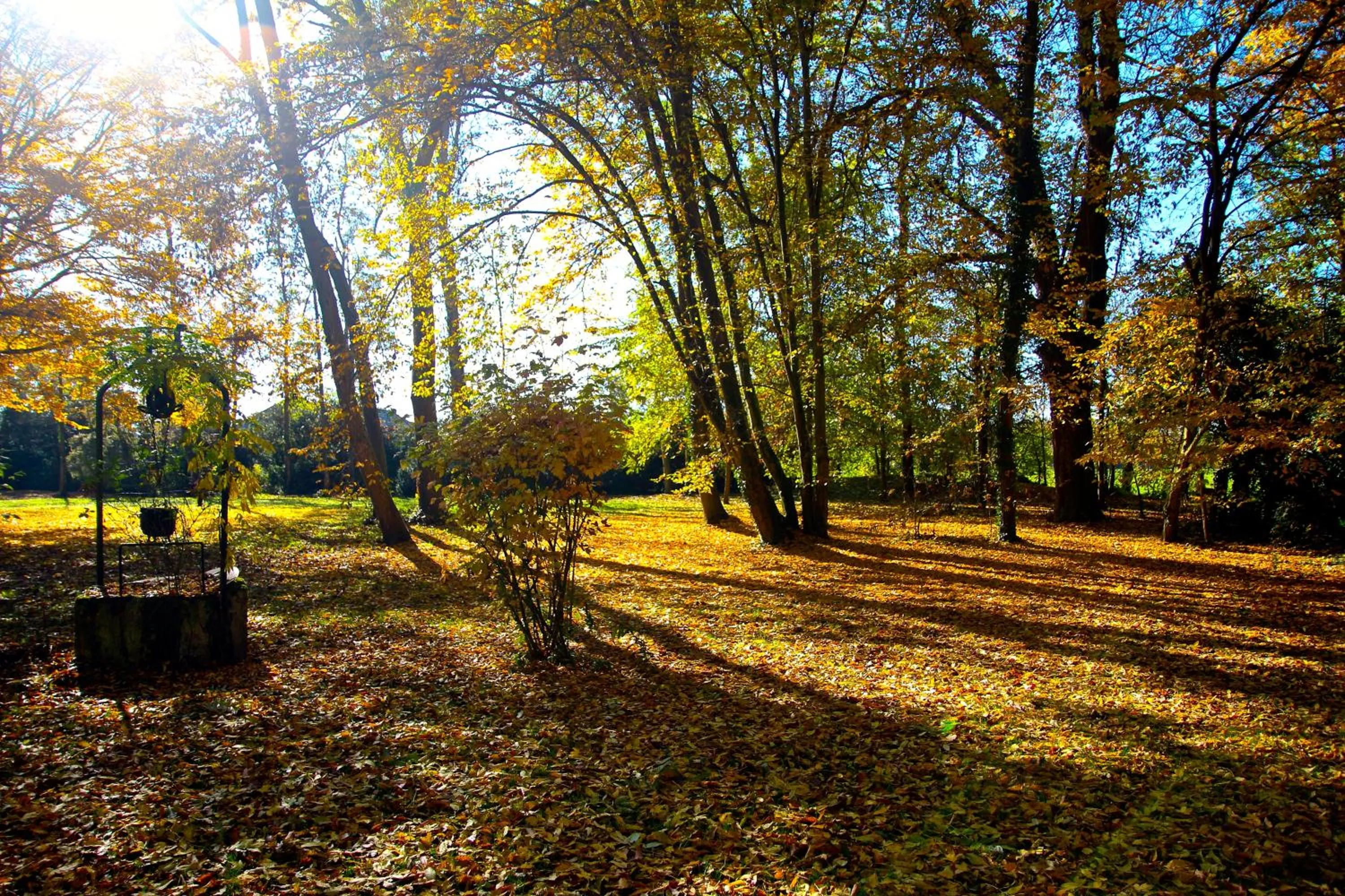 Garden in Château de Montabert